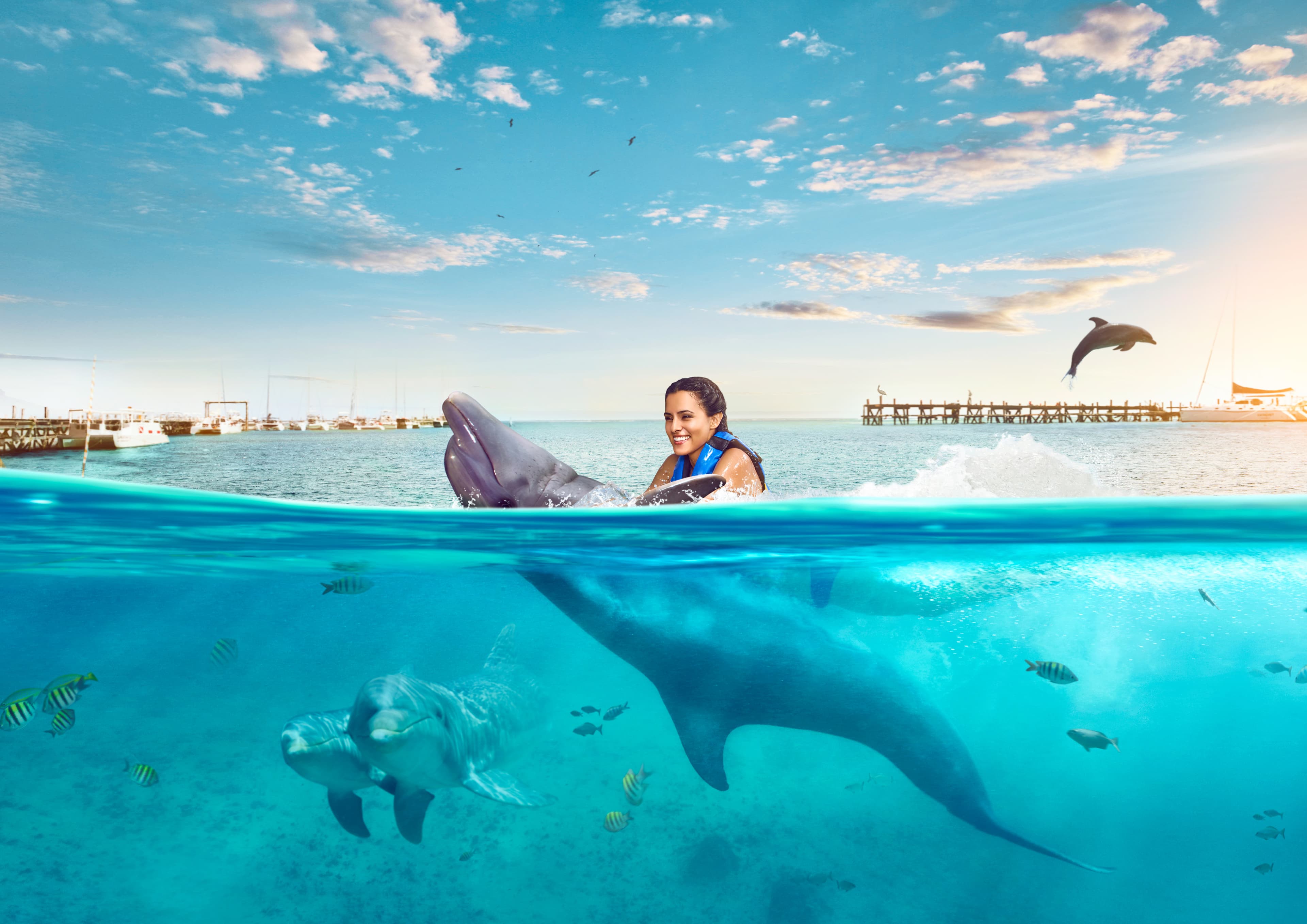 Isla Mujeres: Dolphin Connection — nado con delfines y buffet