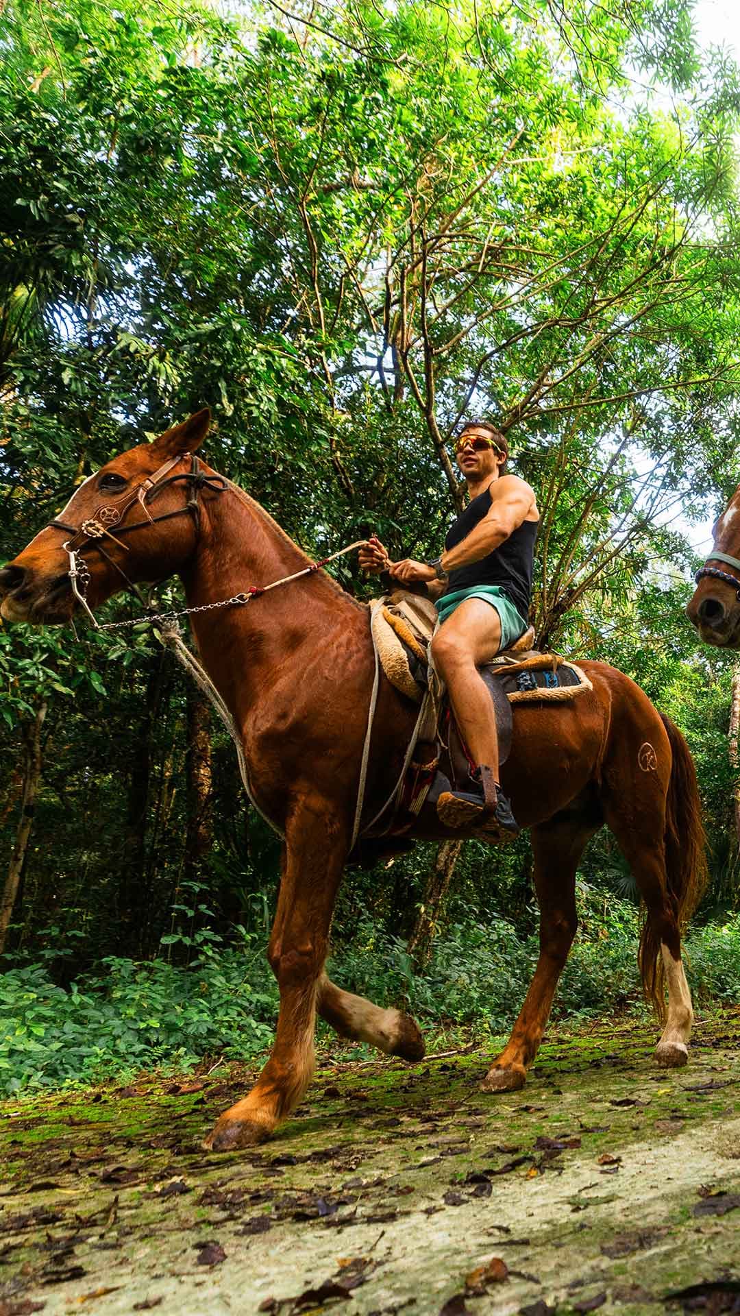Paseos a caballo + ATV