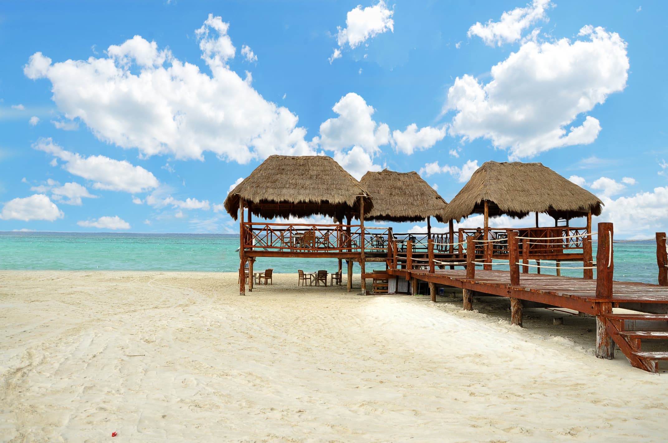 Playa del Carmen Maroma - Dolphin Connection: swim with dolphins — 3