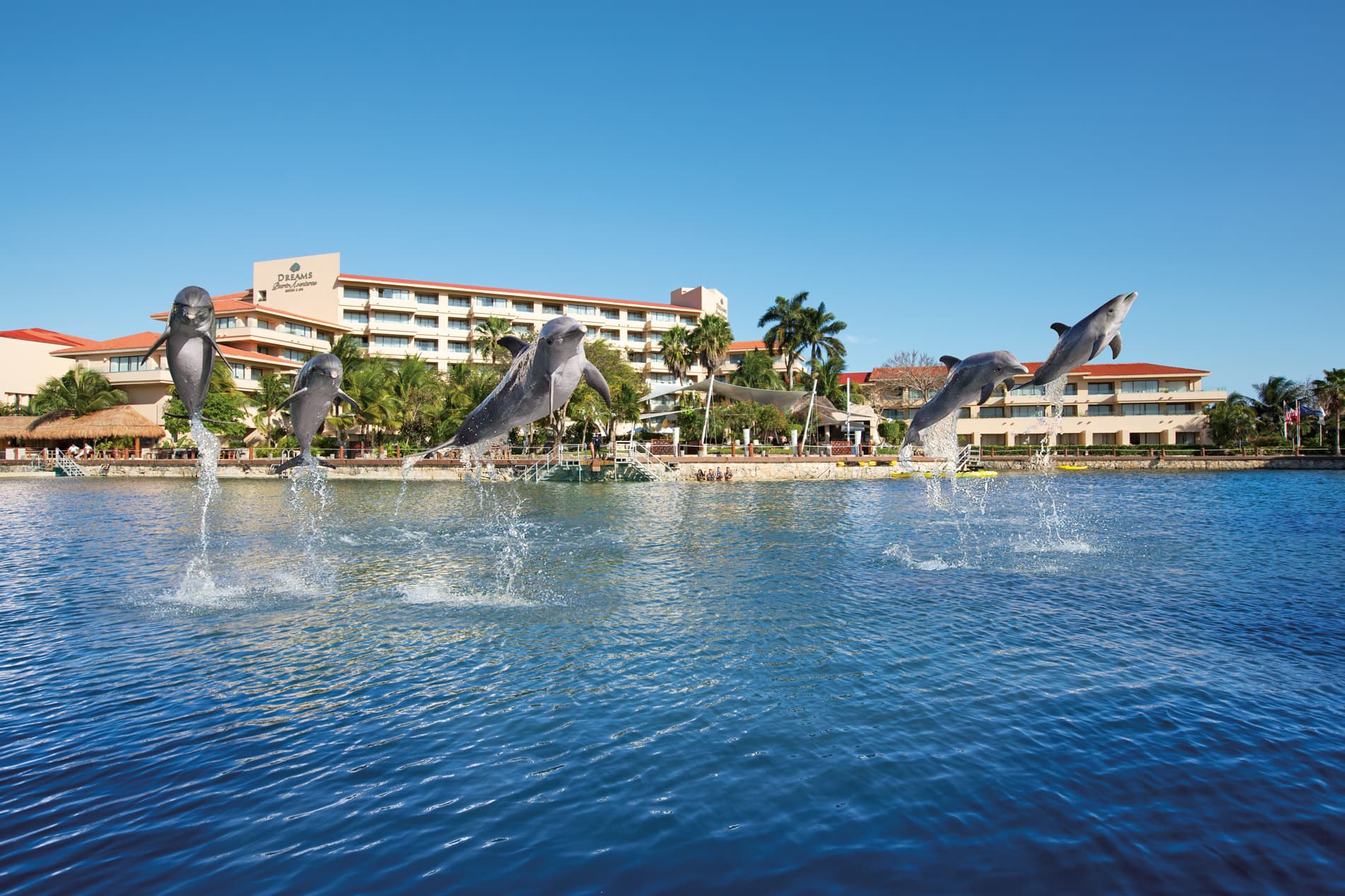 Dolphin Encounter Puerto Aventuras — 2