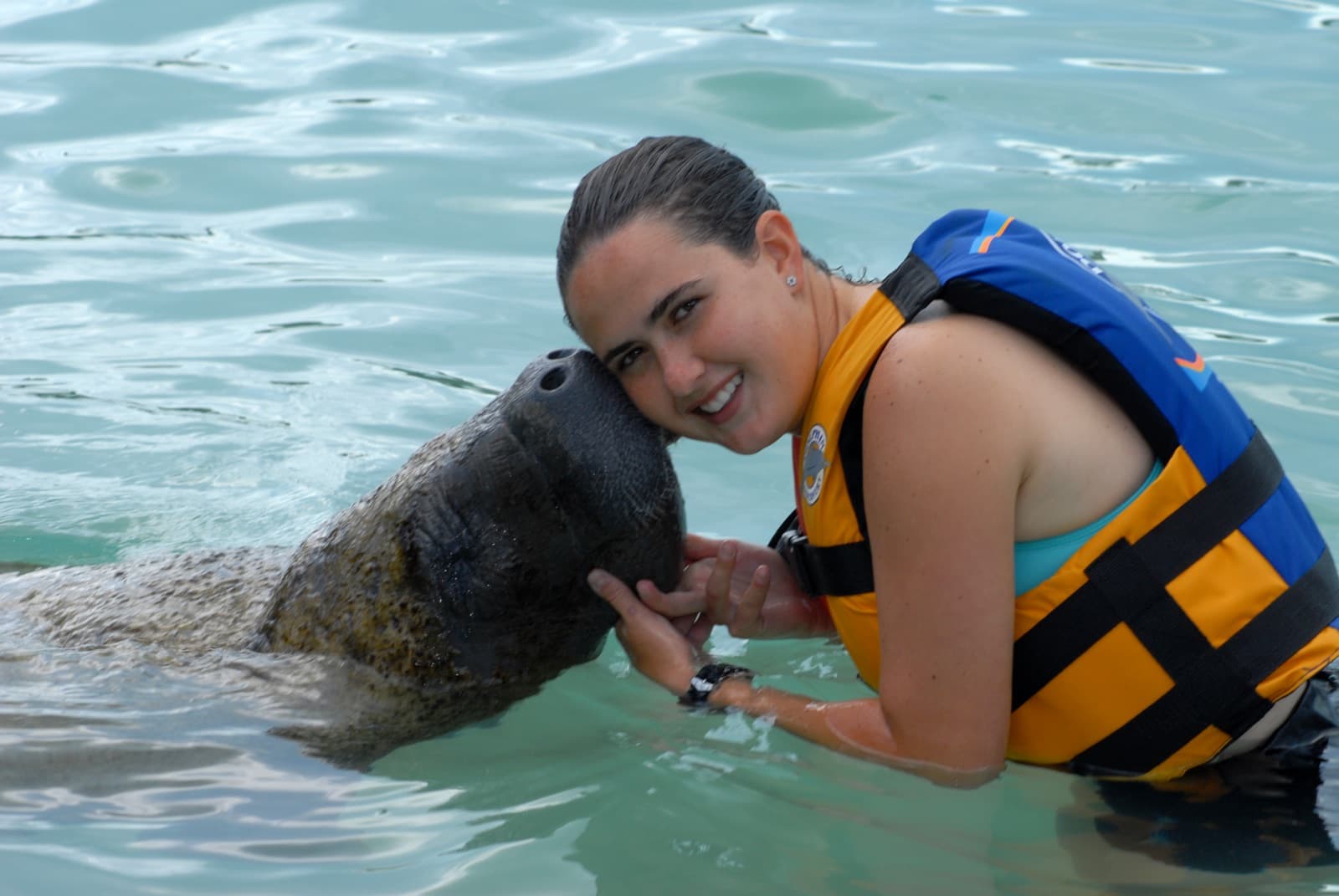 Manatee Encounter en Cozumel: nado con manatíes y Parque Chankanaab — 2