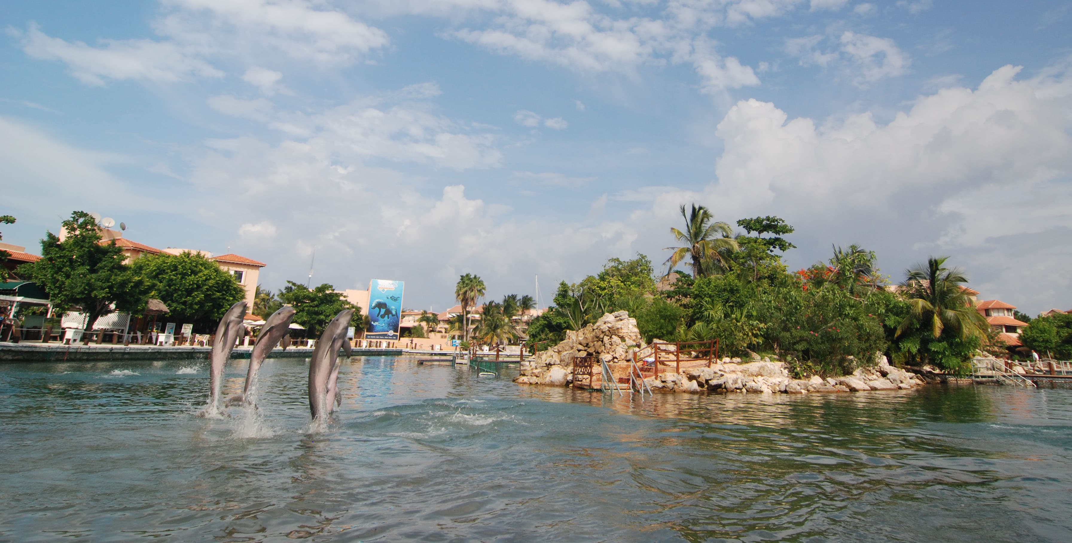 Dolphin Encounter Puerto Aventuras — 3
