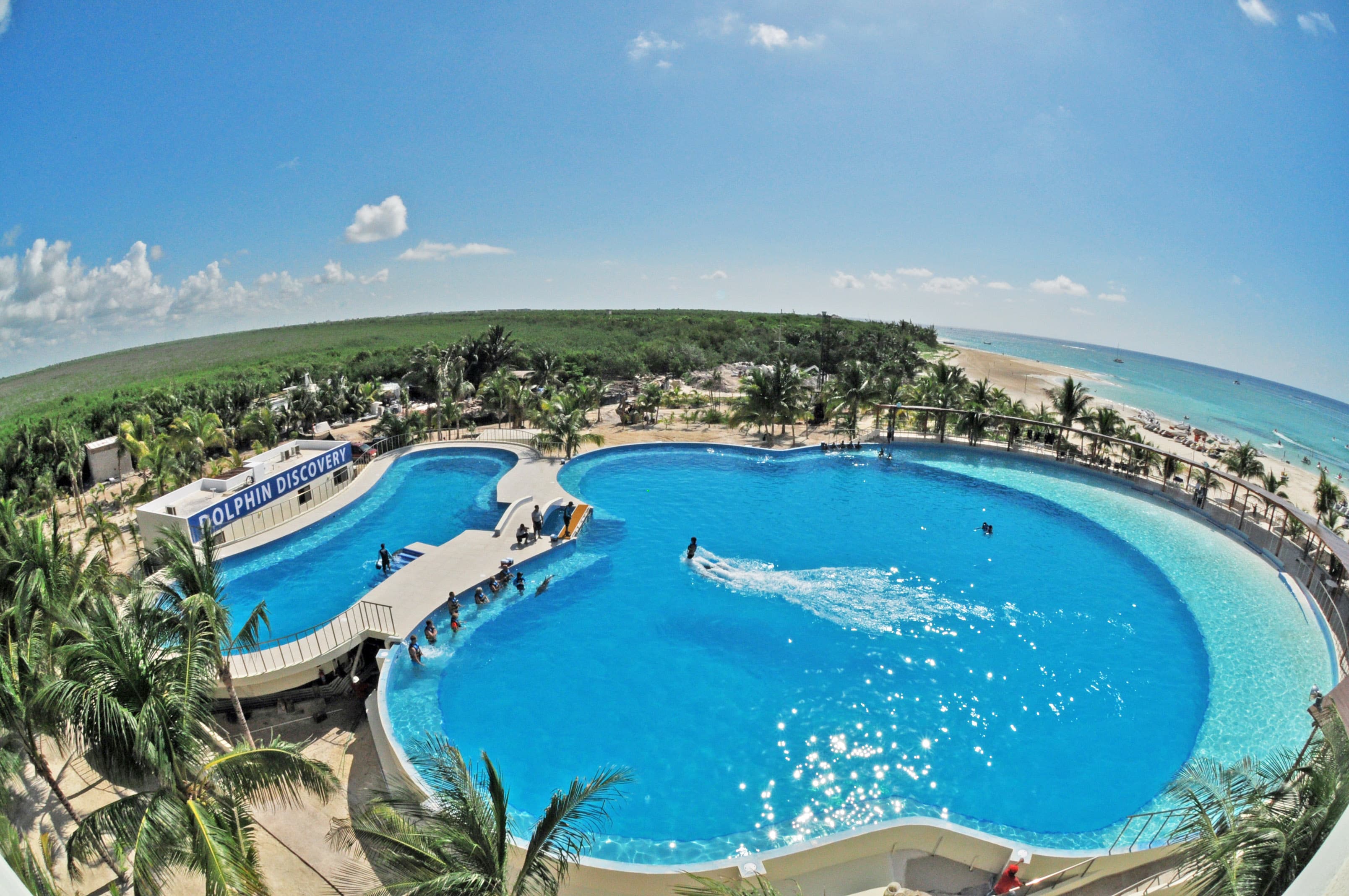 Playa del Carmen Maroma - Dolphin Connection: swim with dolphins