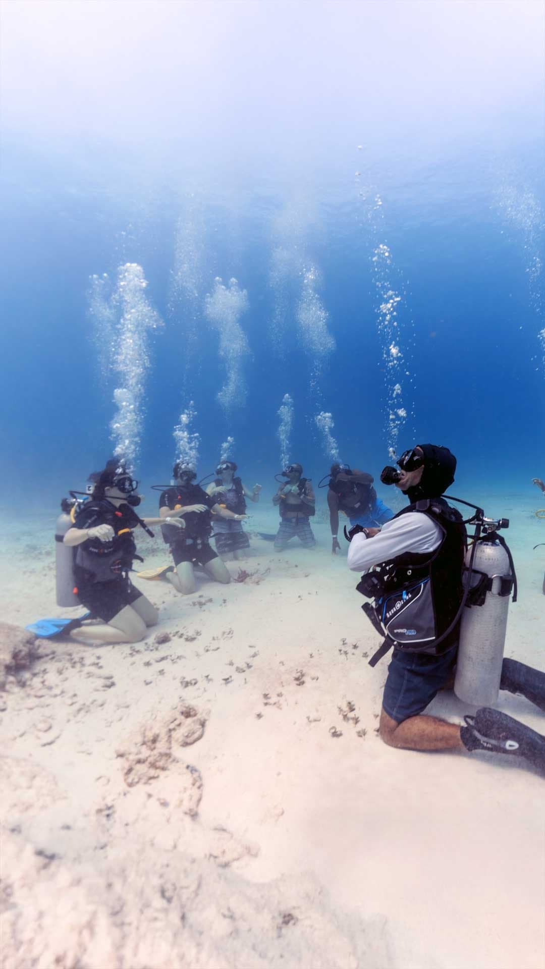 Riviera Maya | Scuba diving — 3