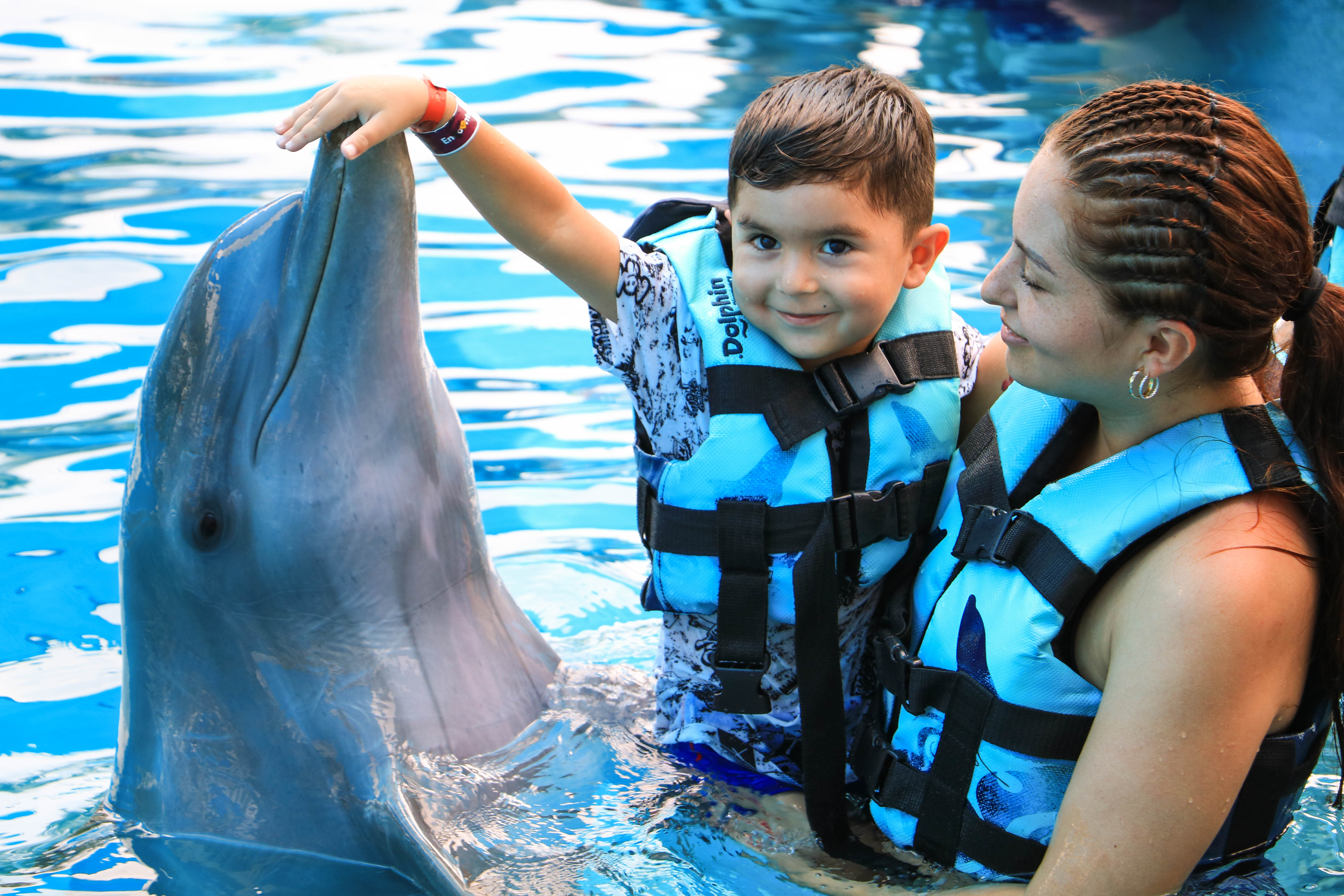 Encuentro con Delfines + Parque Acuático en Puerto Vallarta