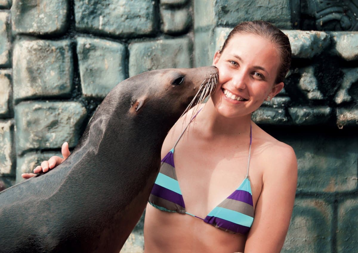 Sea Lion Discovery at Cozumel: interactúa con lobos marinos — 2