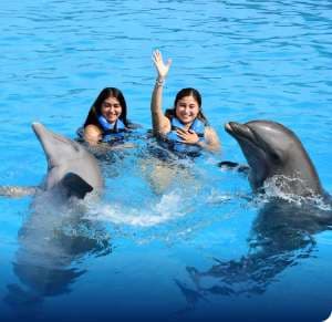 Dolphin Encounter en Isla Mujeres: nado con delfines y playa — 4