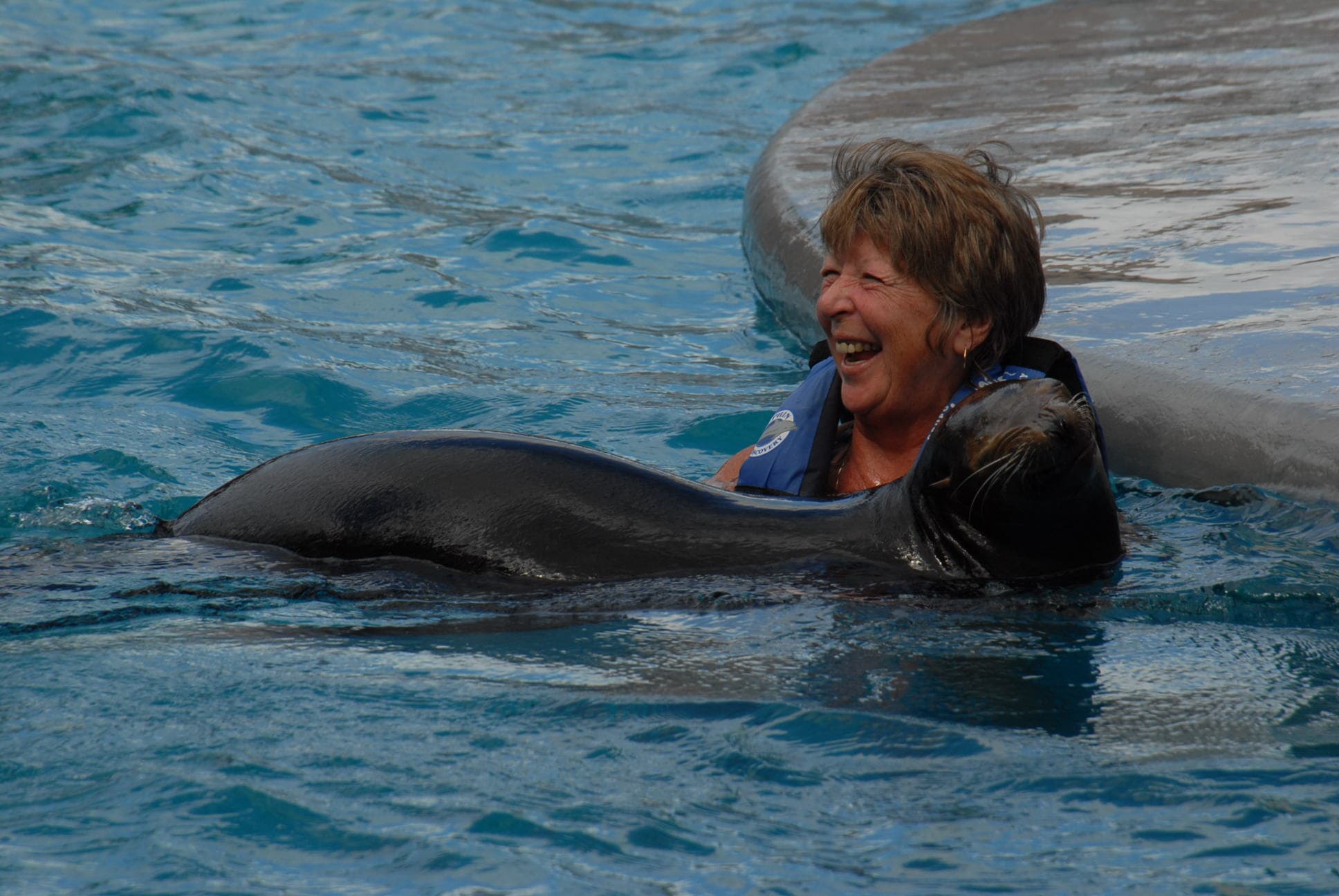 Sea Lion Discovery at Cozumel: interactúa con lobos marinos — 3