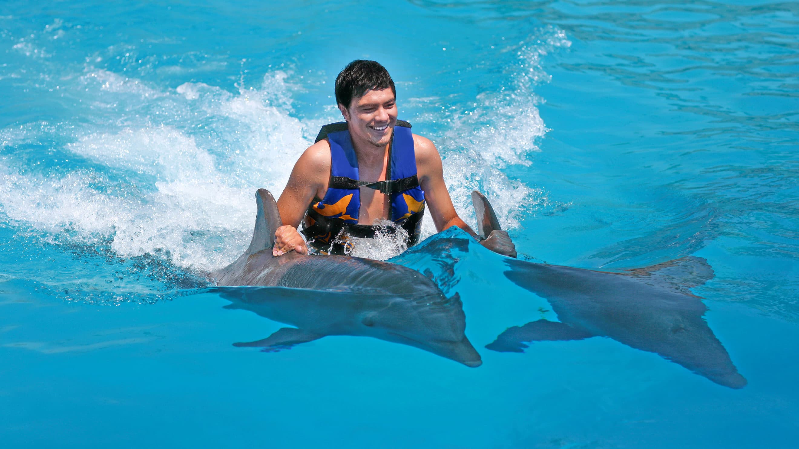 Island Pleasure Catamaran + Dolphin Royal Connection: catamarán, snorkel y nado — 4