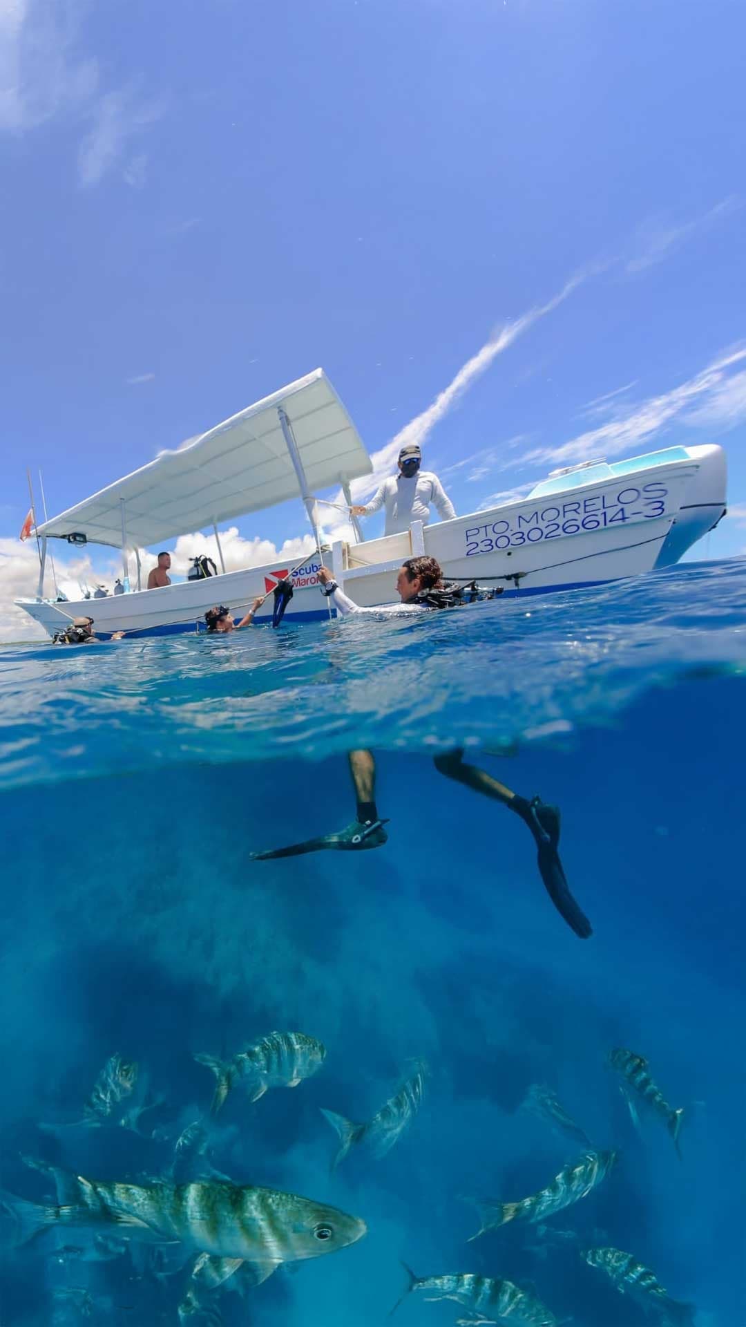 Riviera Maya | Scuba diving