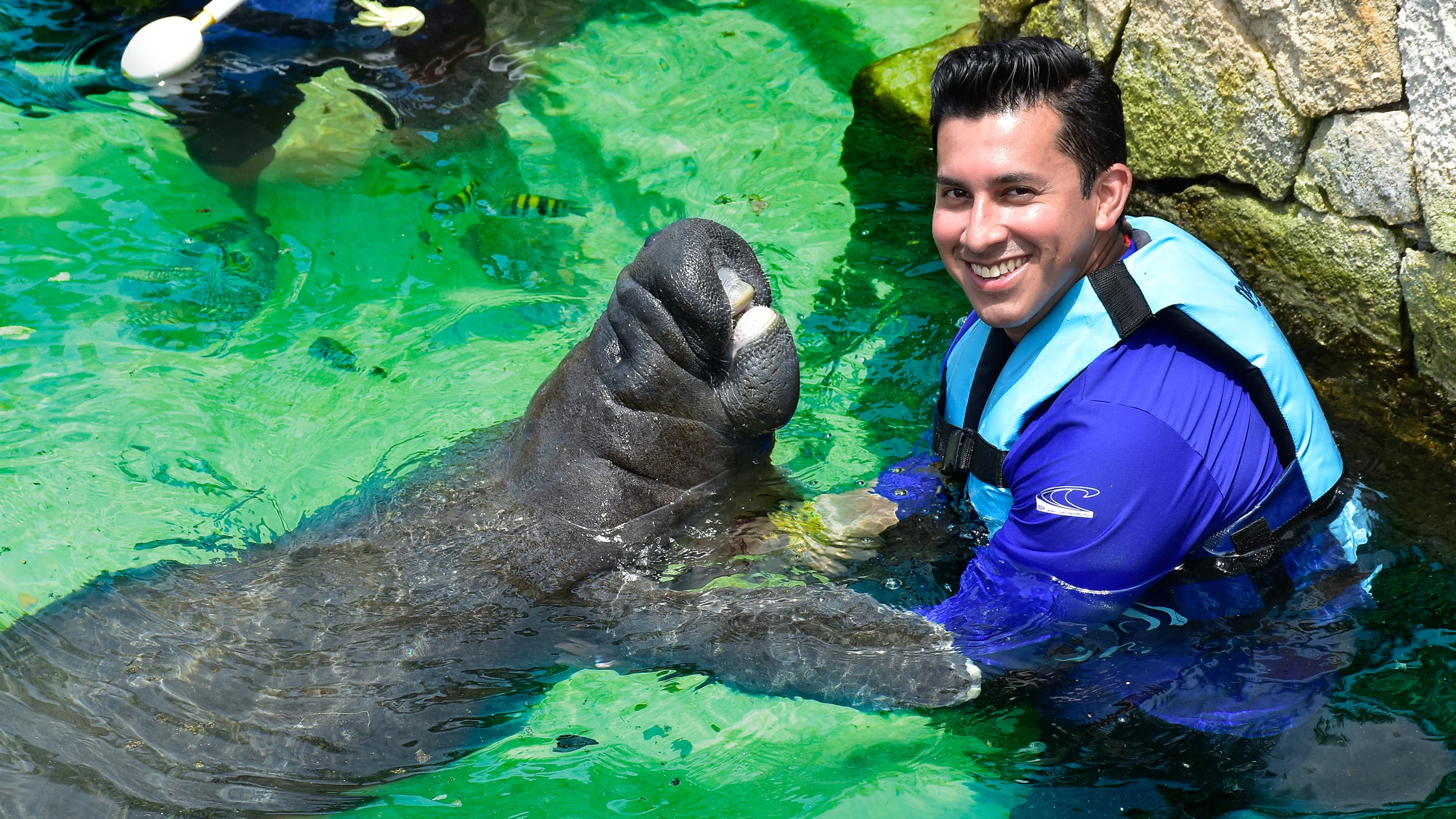 Dolphin Encounter Puerto Aventuras — 4