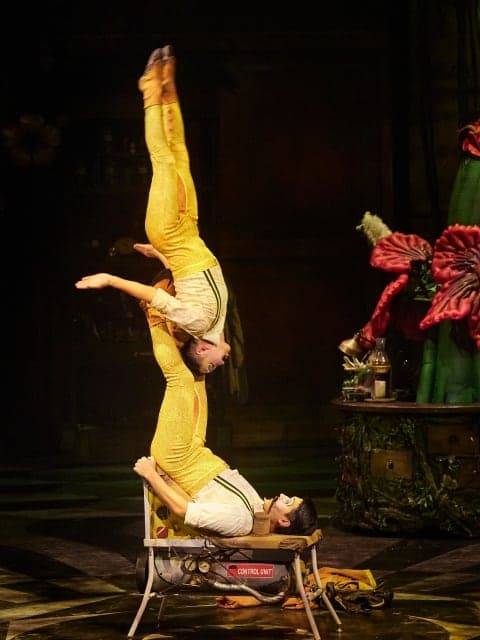 Cirque du Soleil JOYÀ — 4