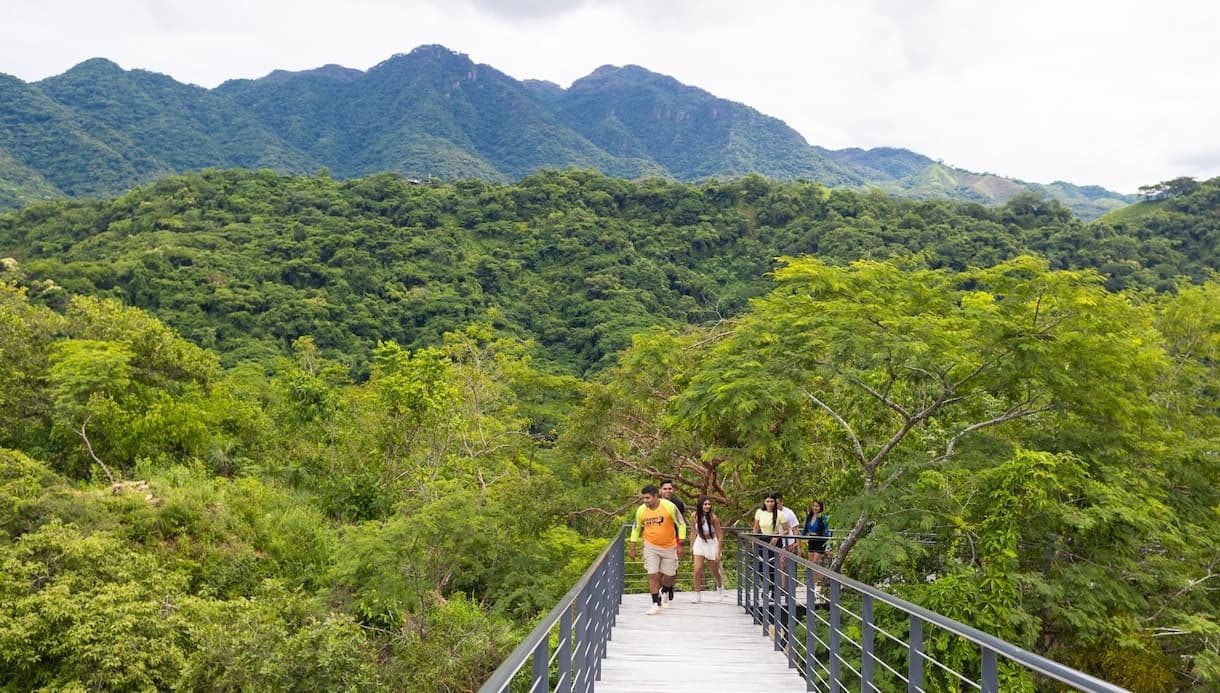 River Park Puerto Vallarta: mirador de cristal y puente colgante — 3