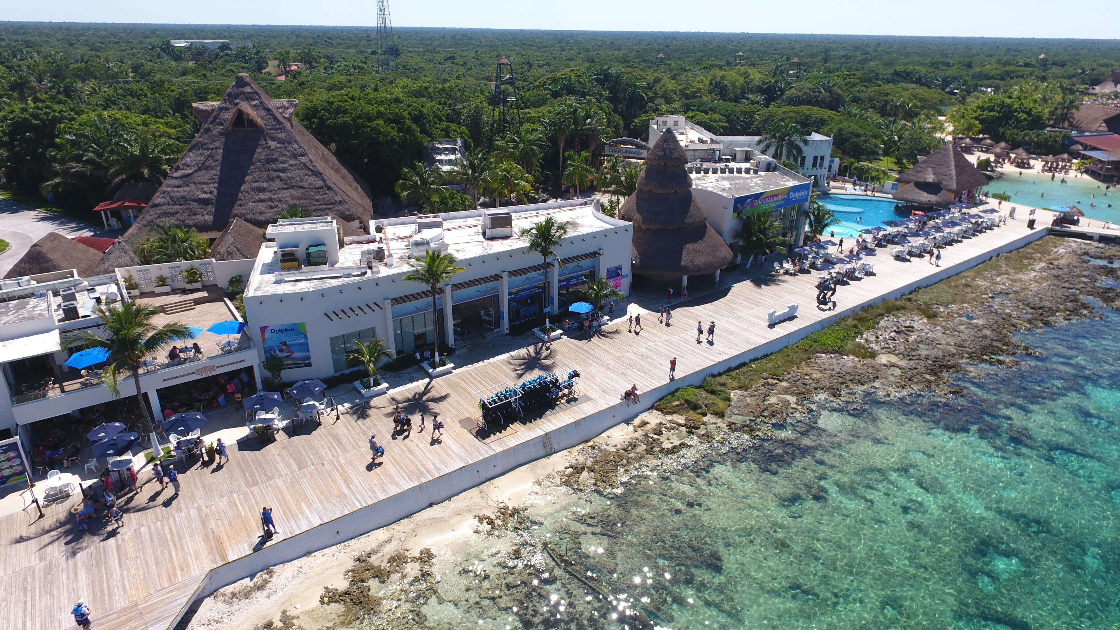 Sea Lion Discovery at Cozumel: interactúa con lobos marinos — 5