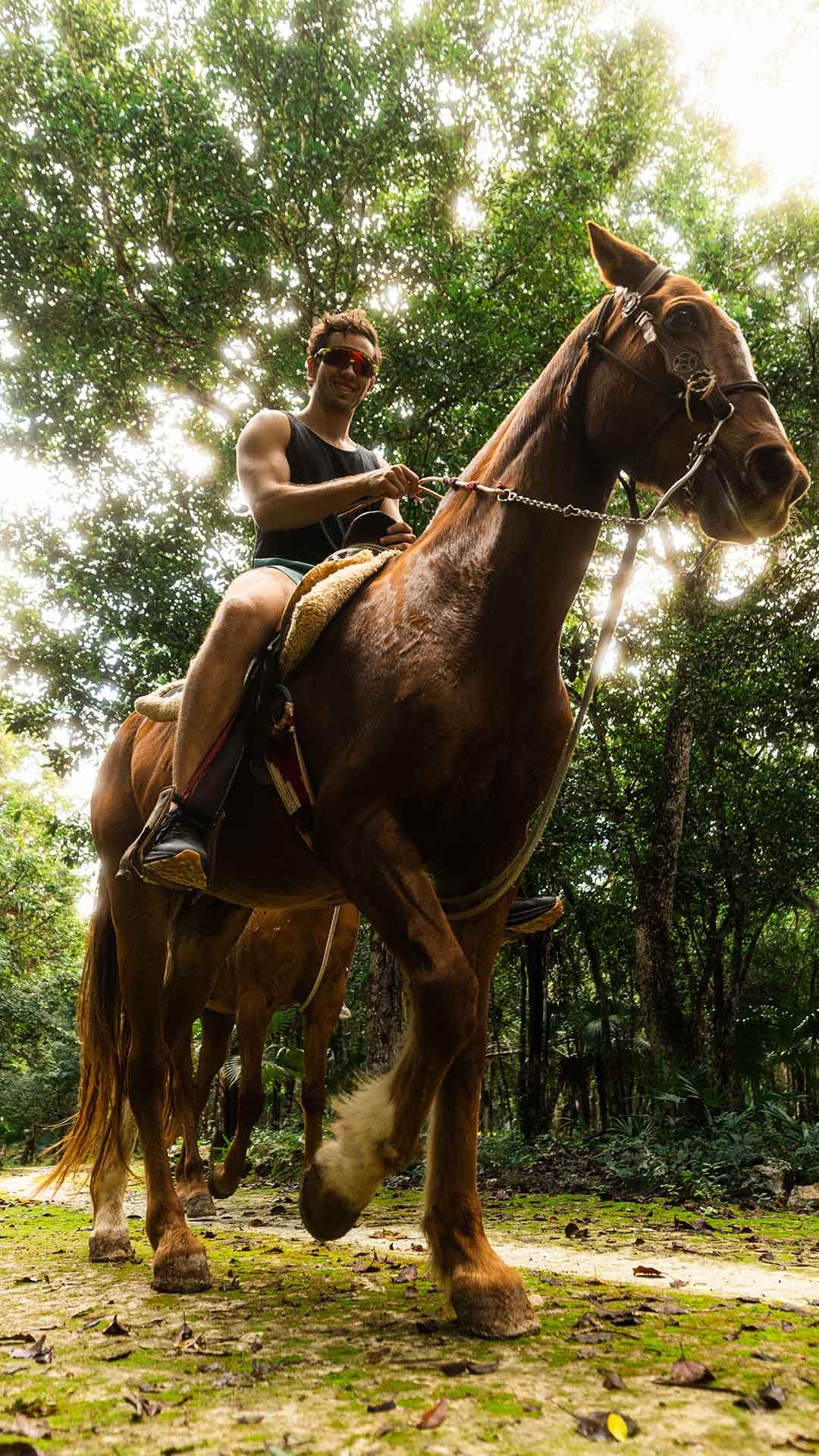Paseos a caballo + ATV