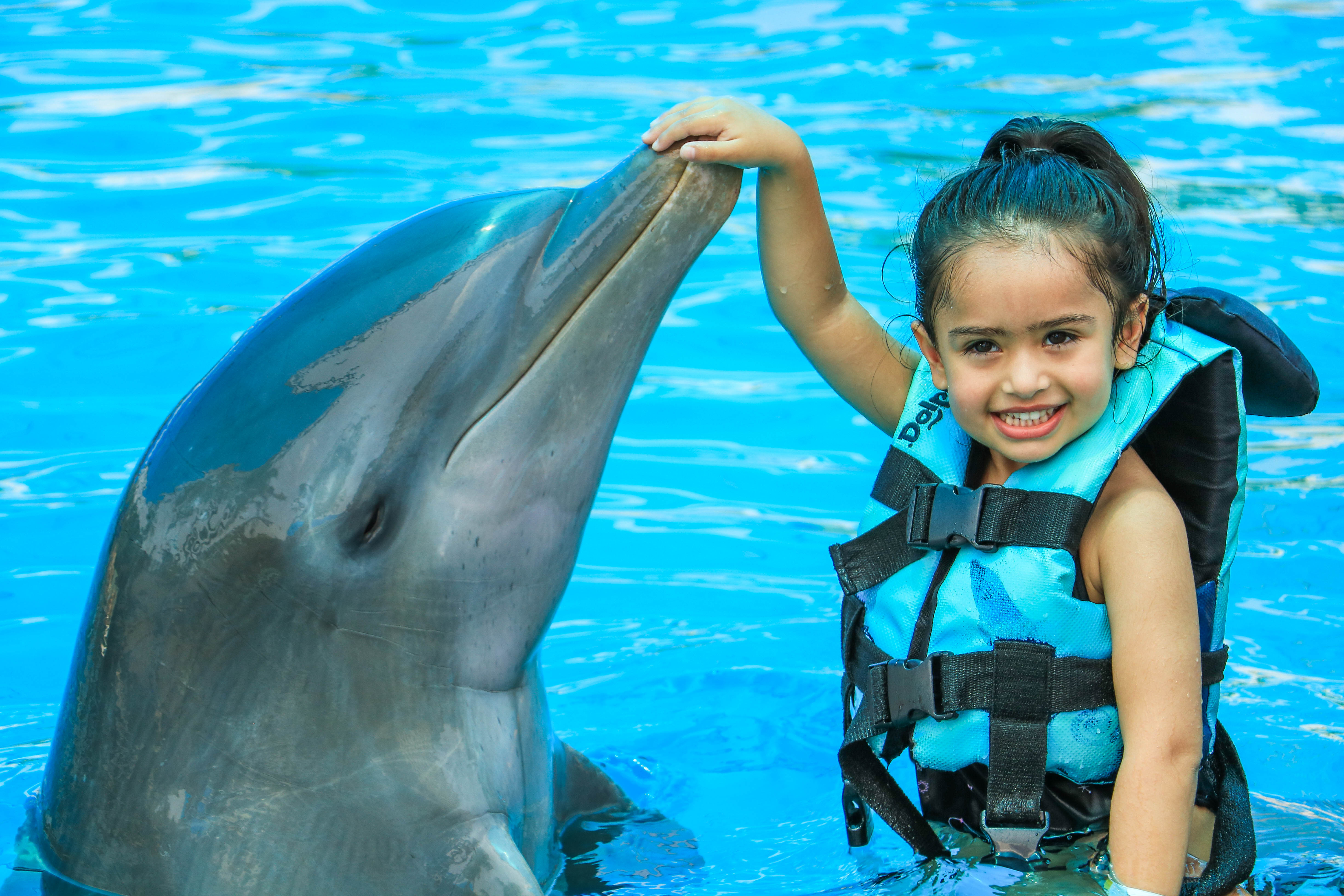Encuentro con Delfines + Parque Acuático en Puerto Vallarta