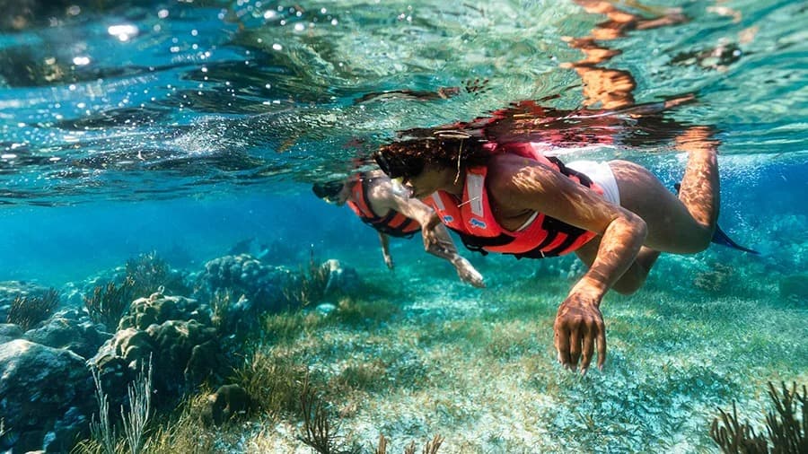 Extreme Snorkeling Puerto Morelos