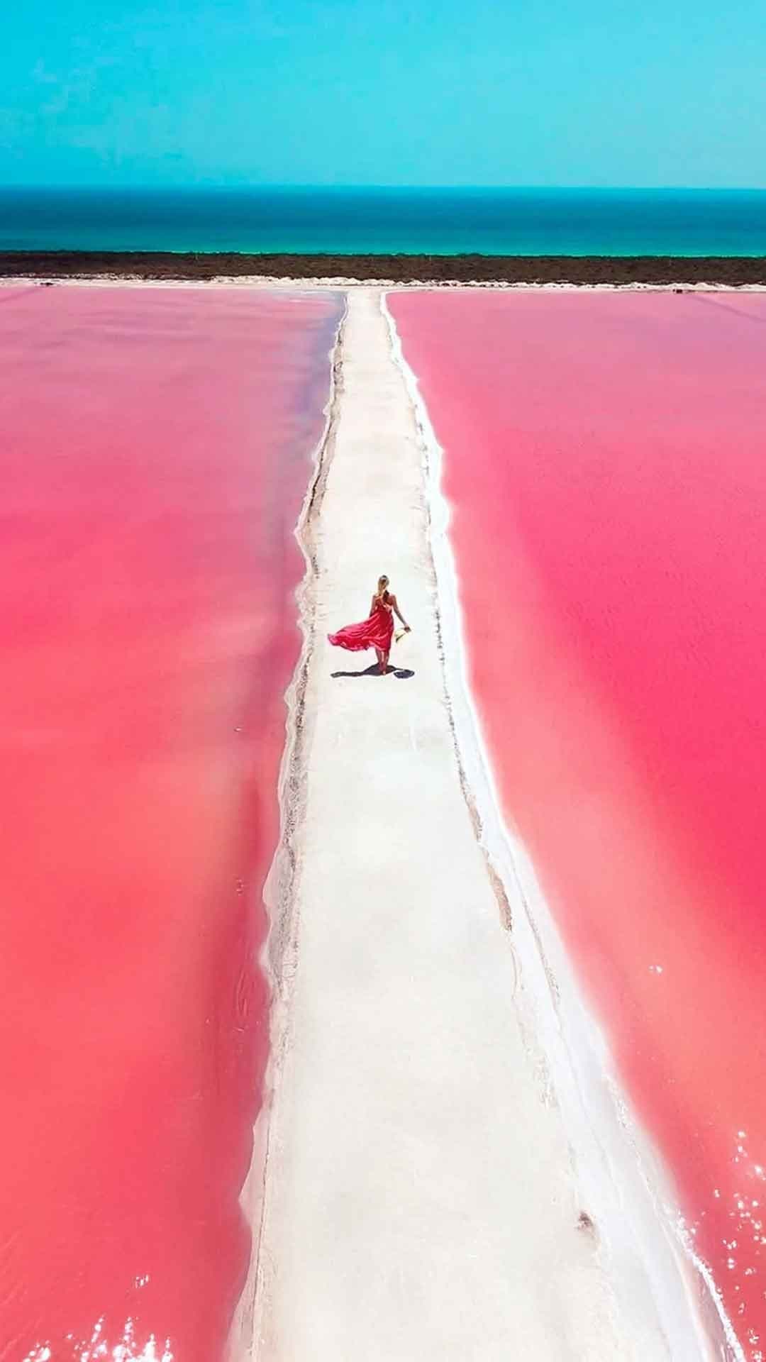 Tour la ruta del Flamingo: Río Lagartos y Las Coloradas