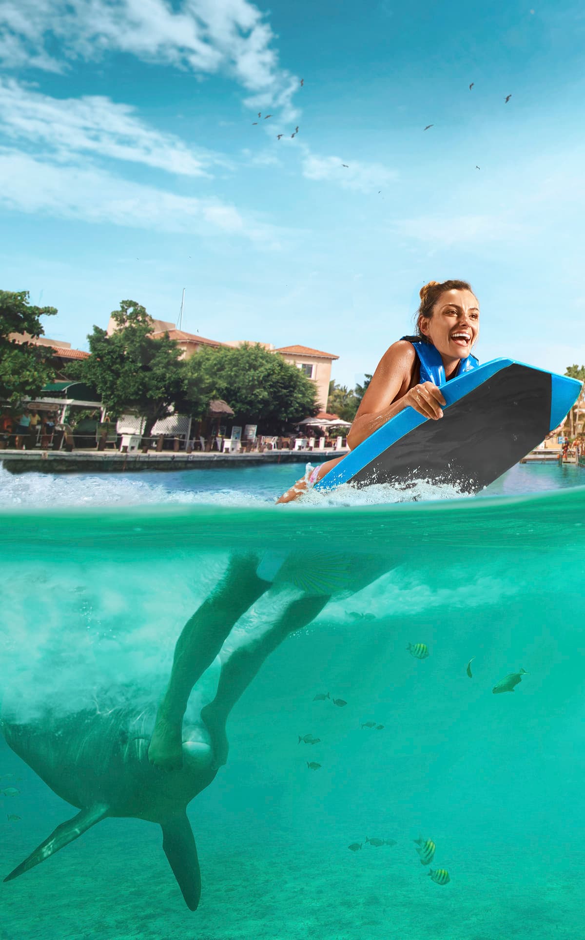 Isla Mujeres: Dolphin Connection — nado con delfines y buffet — 4
