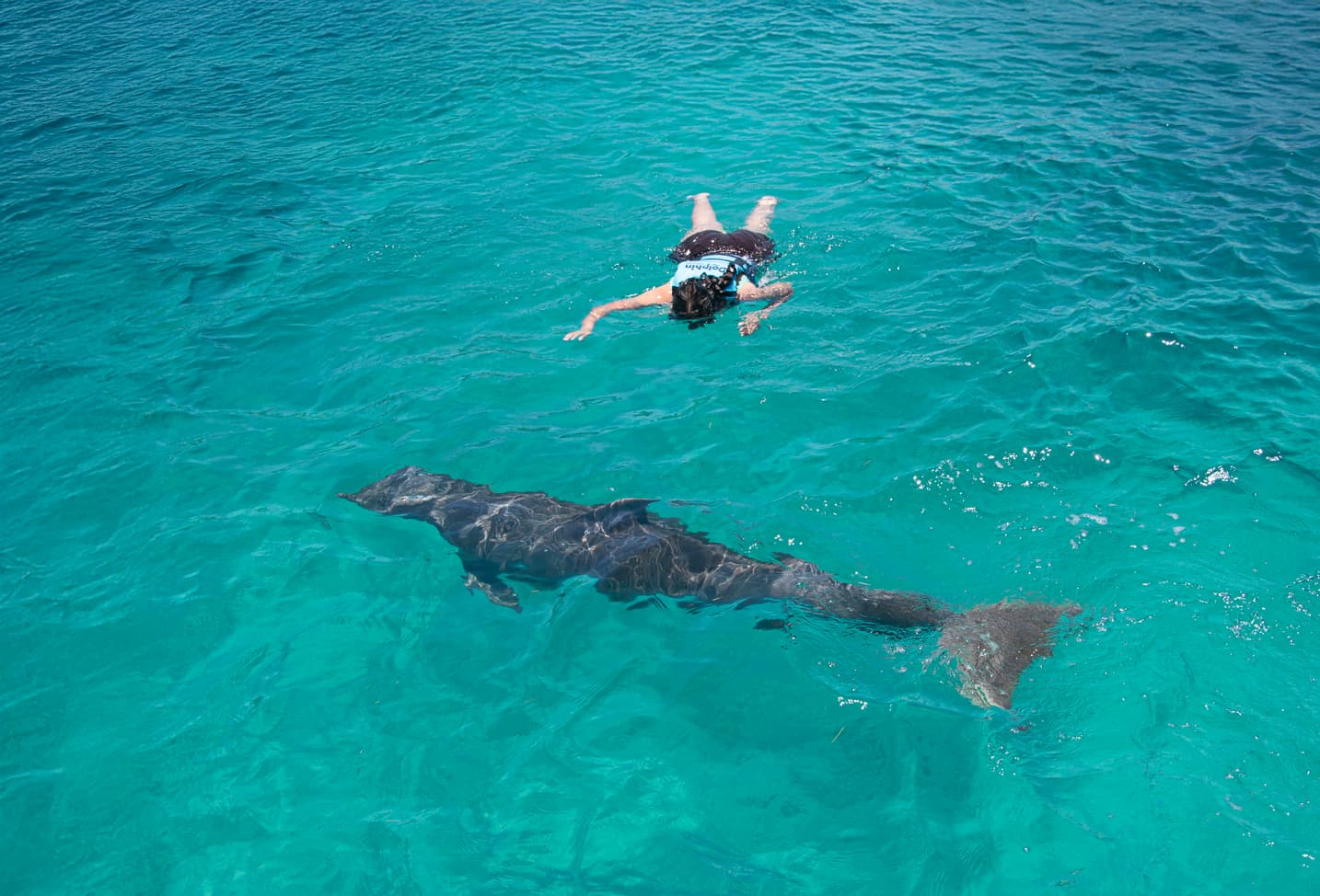 Isla Mujeres: Dolphin Royal Connection — 5