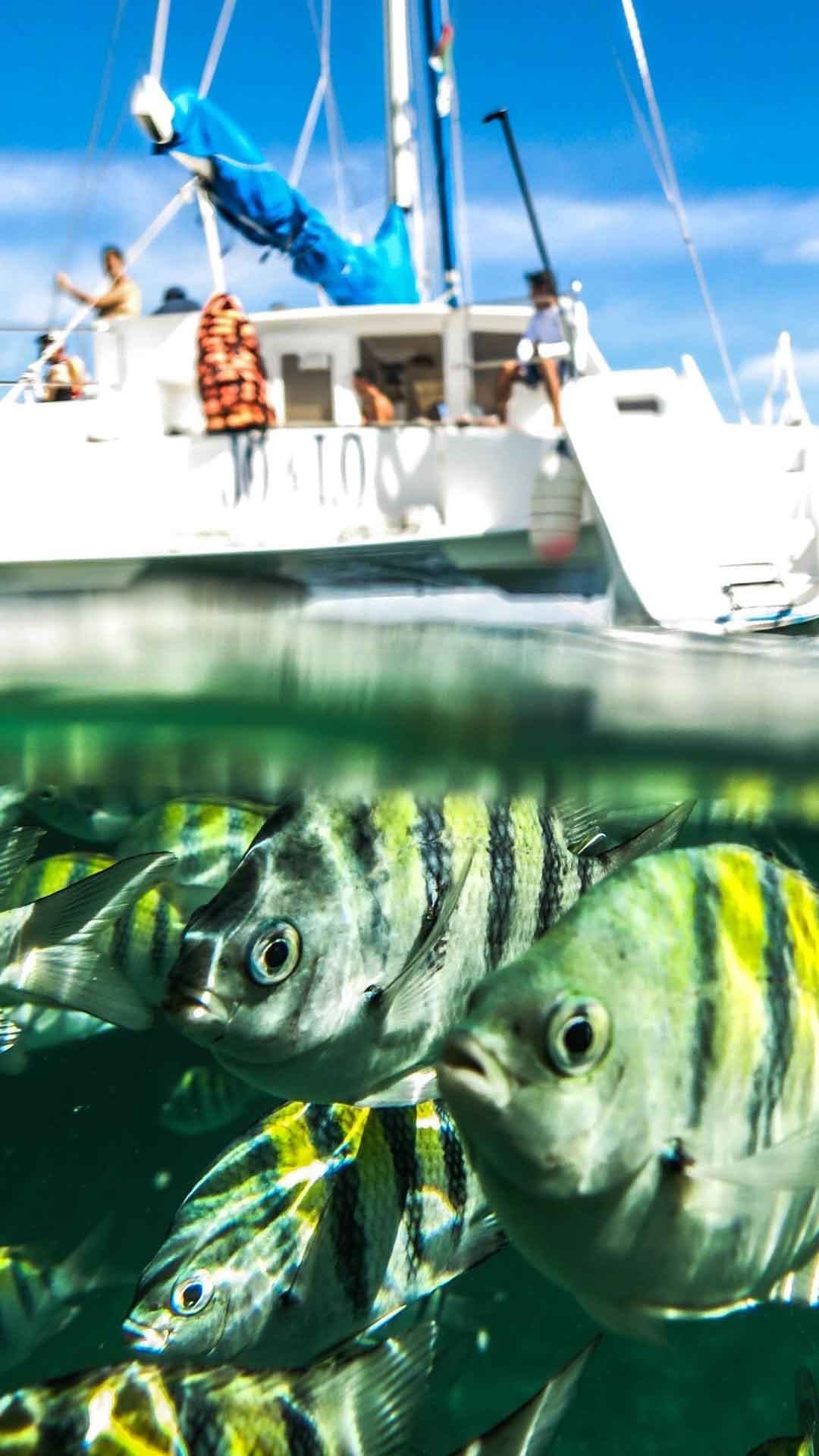 Deluxe Catamaran Tour