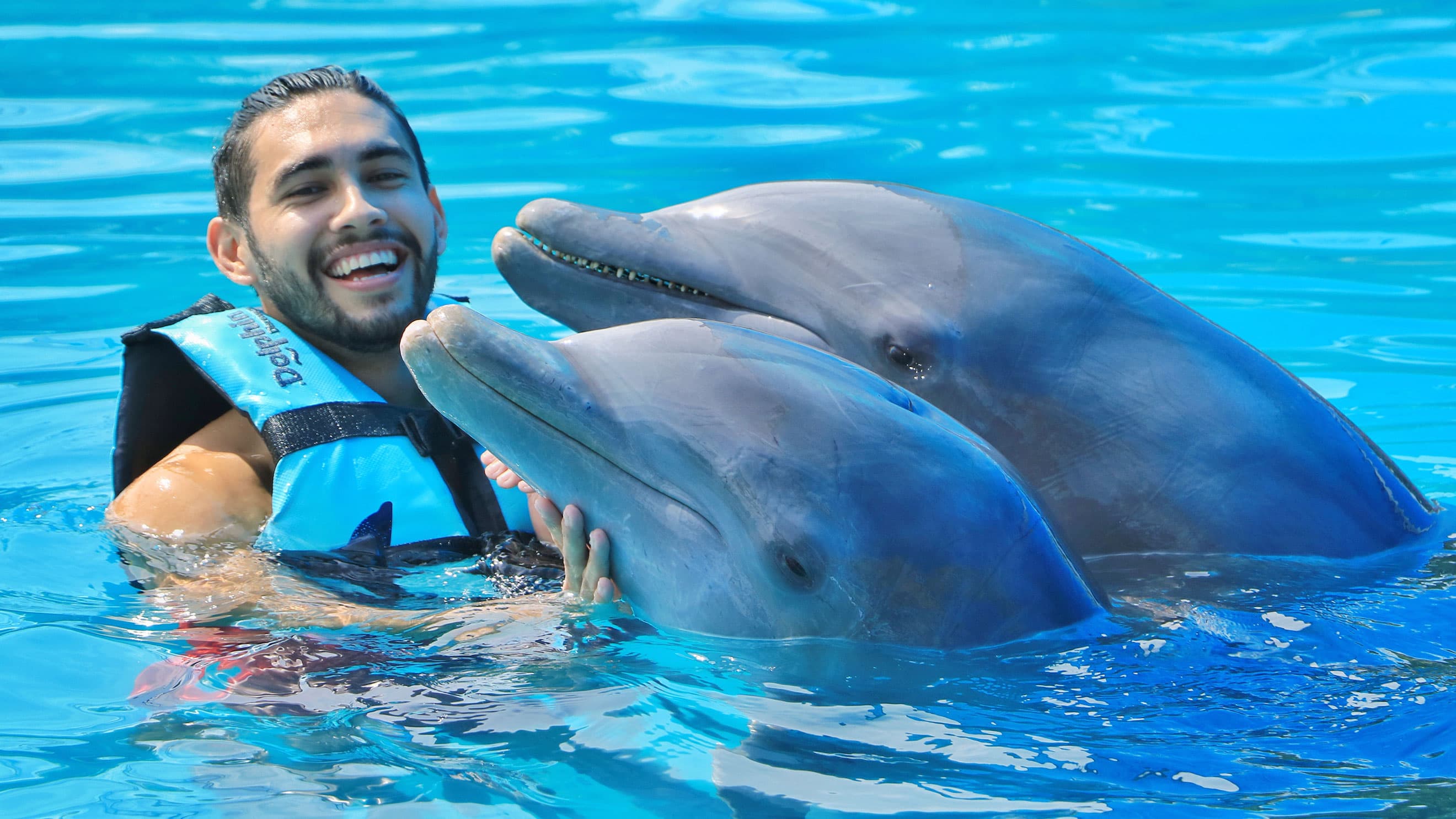 Dolphin Royal Connection: delfines, manatíes y Chankanaab — 2