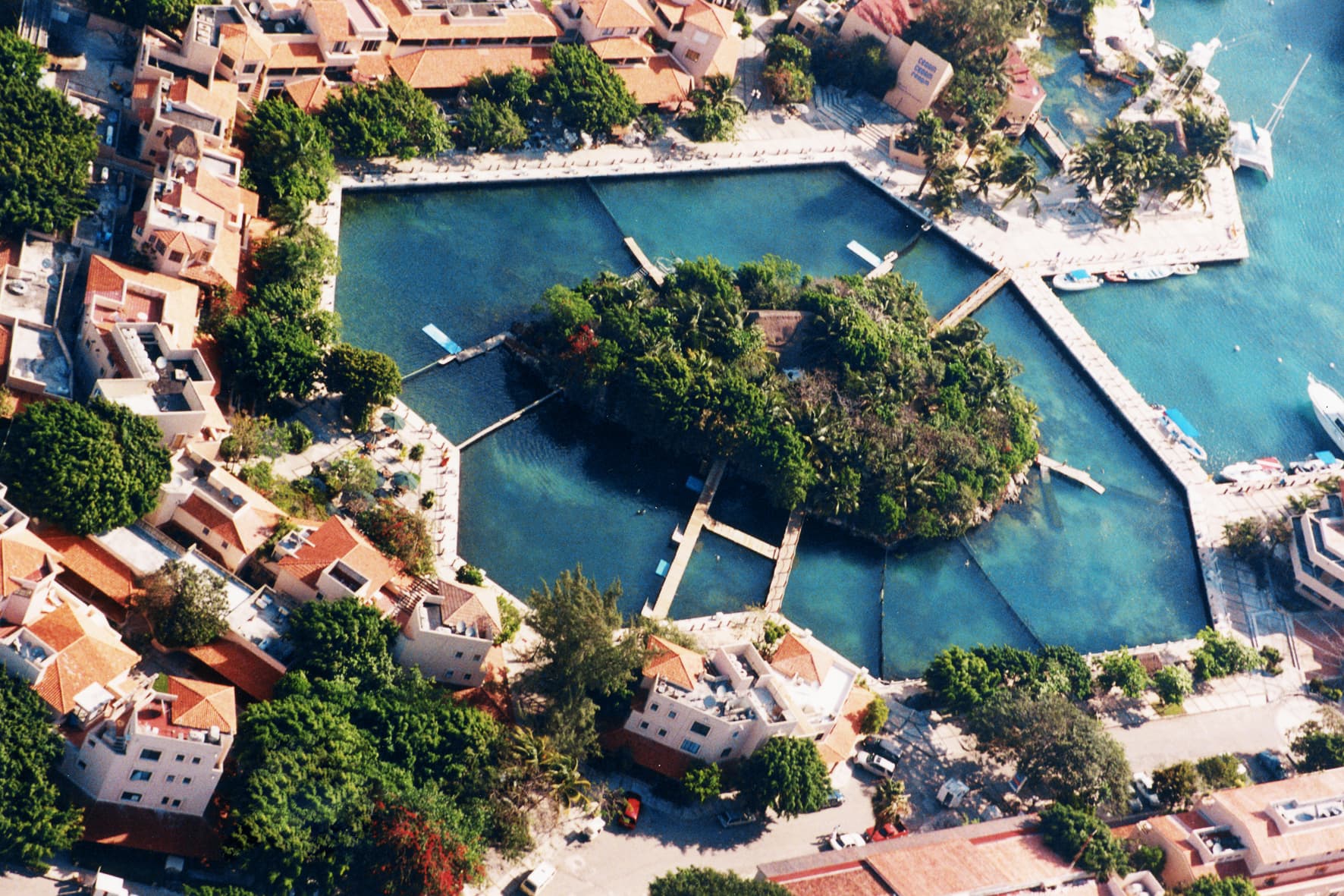 Dolphin Connection: nado con delfines en Puerto Aventuras — 4