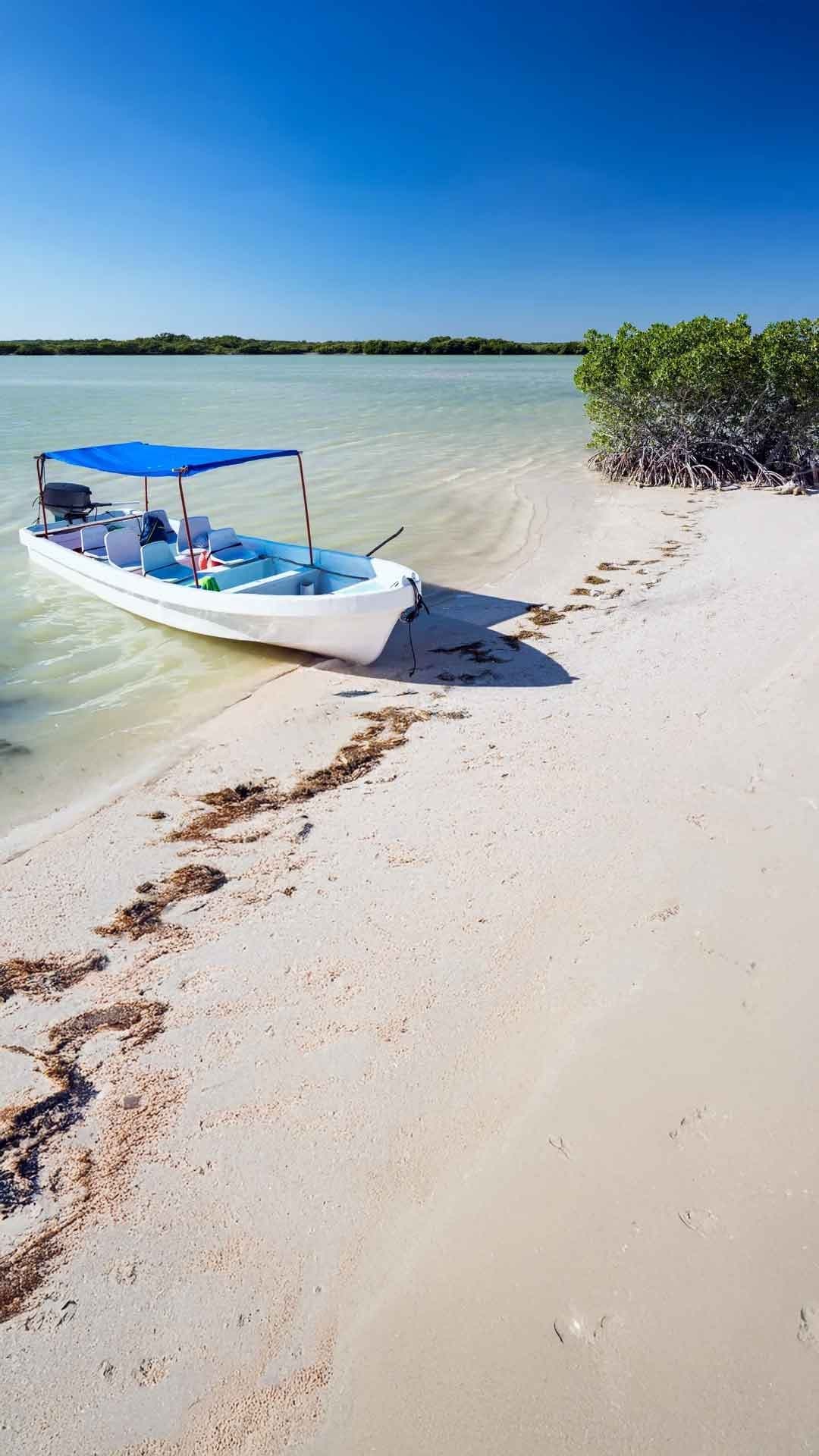 Tour la ruta del Flamingo: Río Lagartos y Las Coloradas — 5