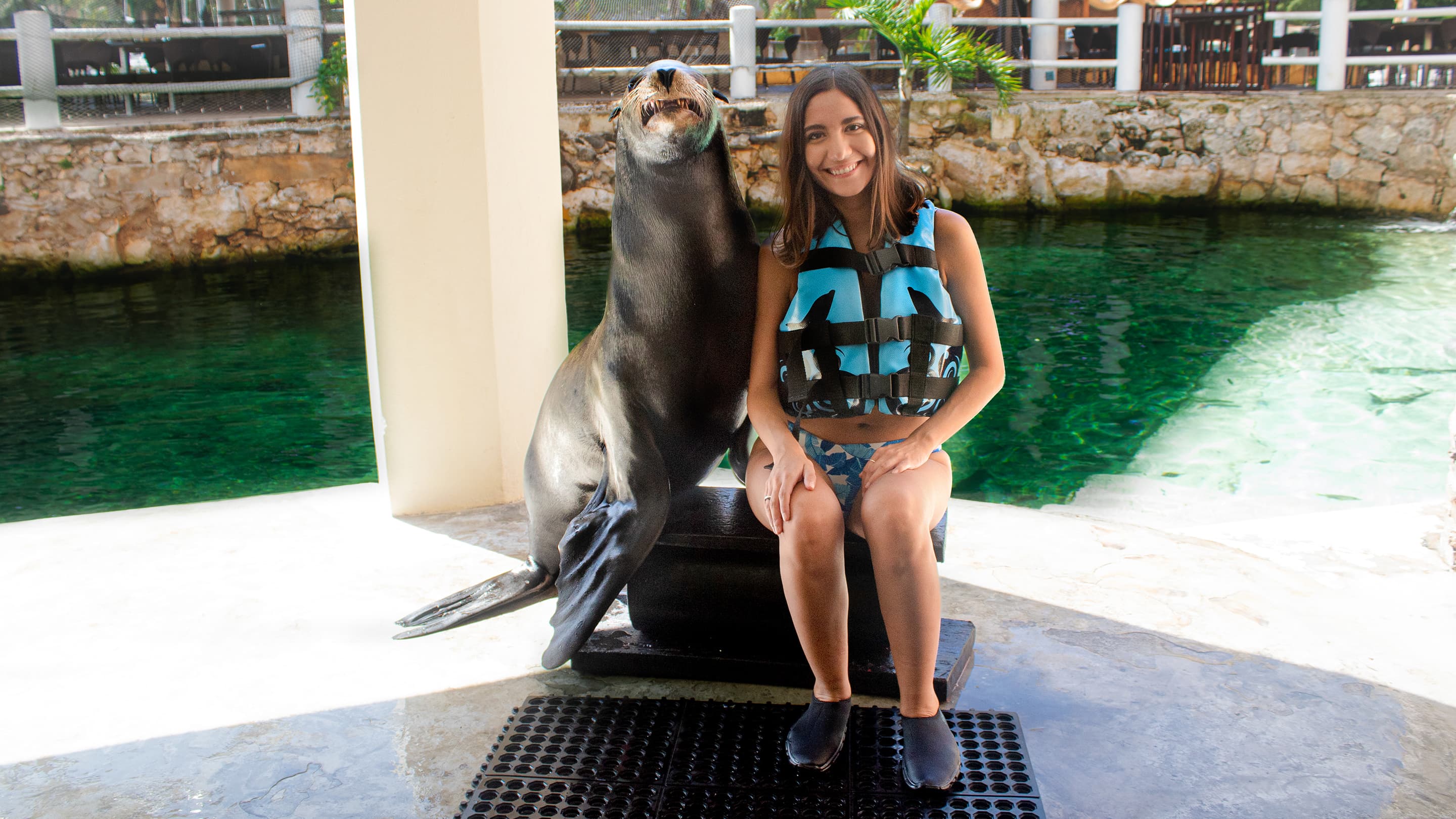 Dolphin Encounter Puerto Aventuras — 5