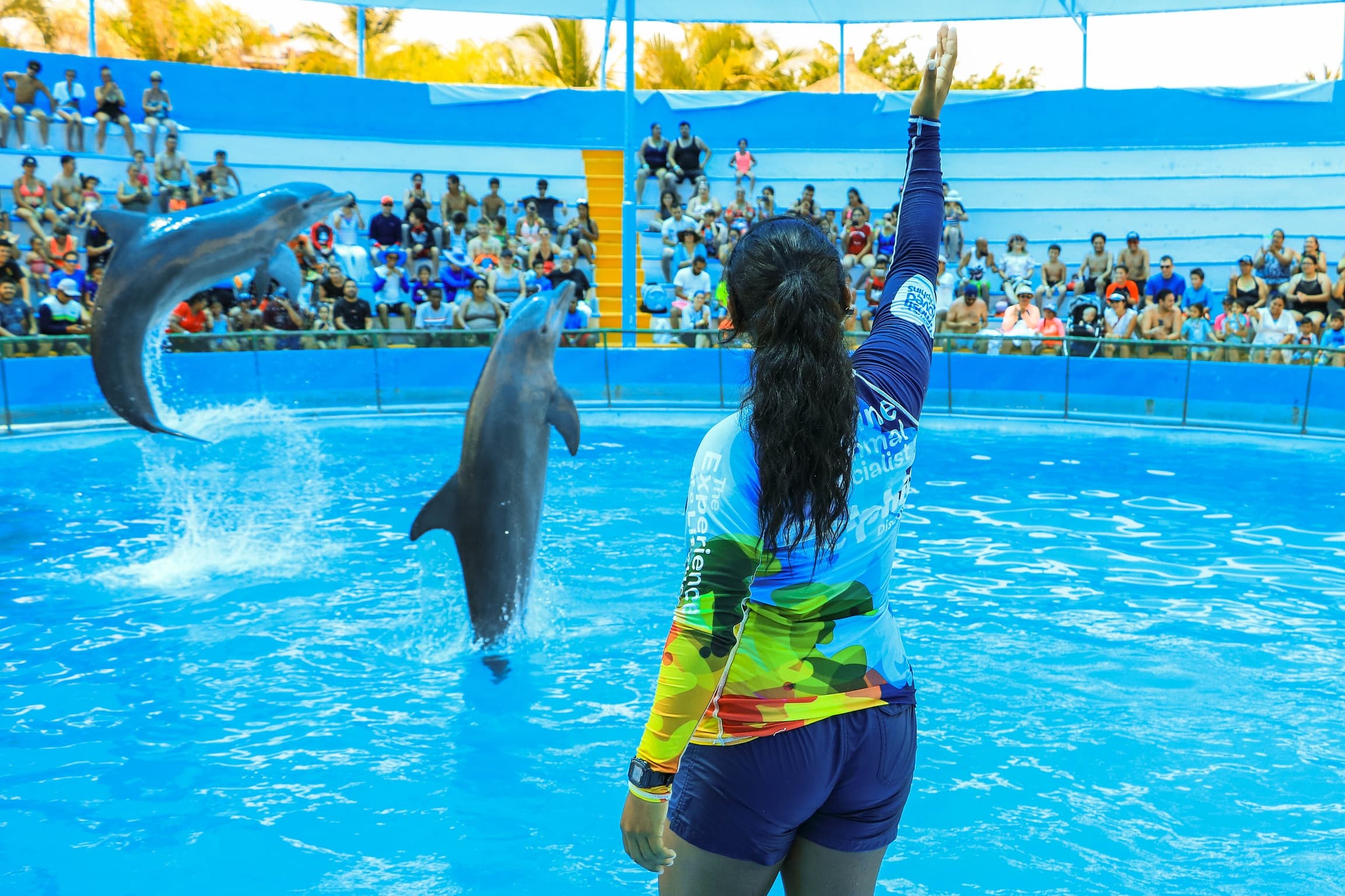 Encuentro con Delfines + Parque Acuático en Puerto Vallarta — 5