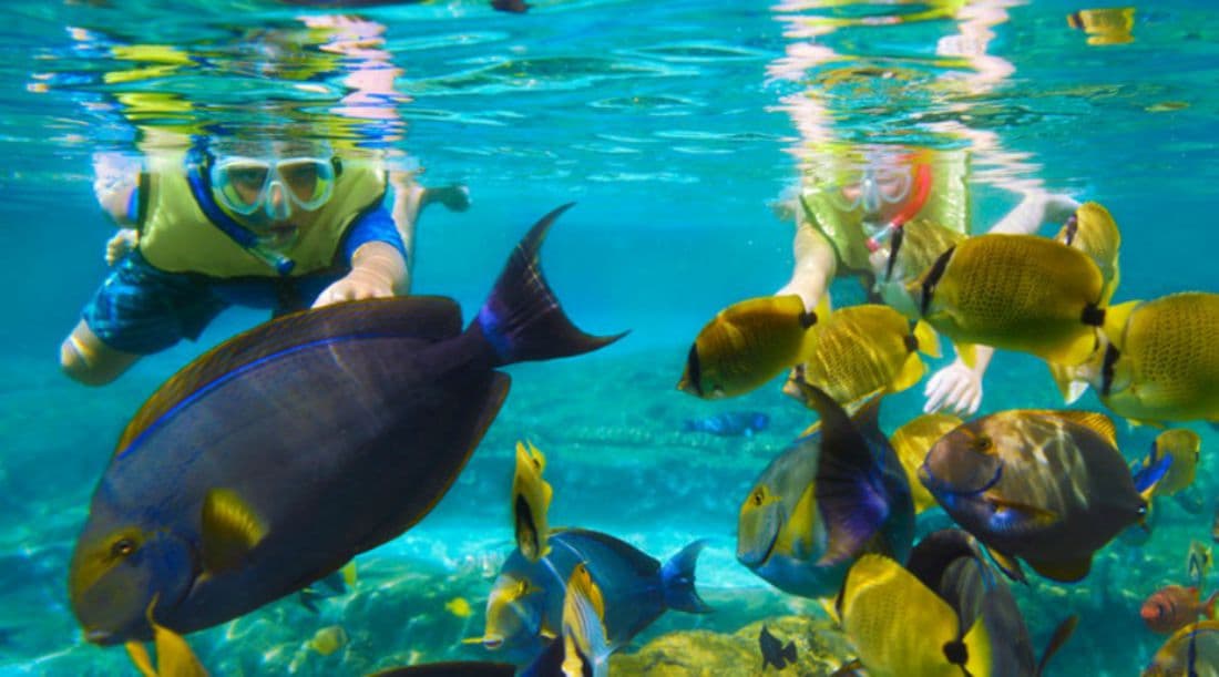 Extreme Snorkeling Puerto Morelos — 3
