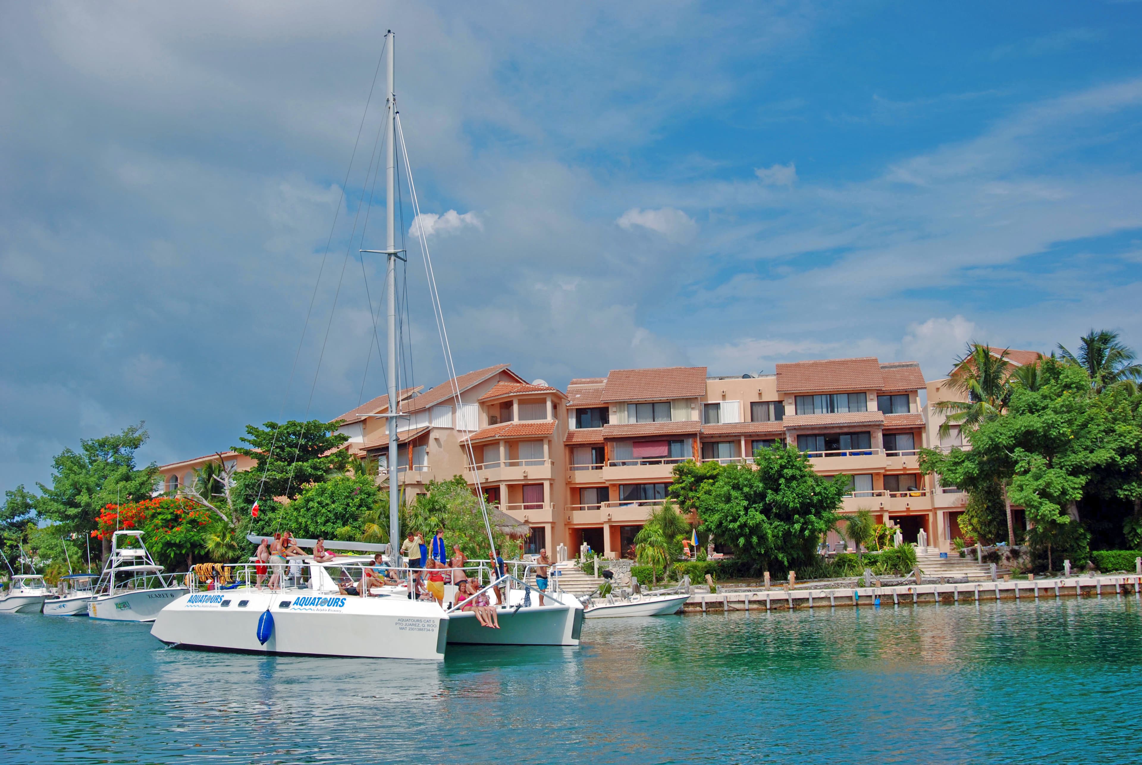 Dolphin Connection: nado con delfines en Puerto Aventuras — 3