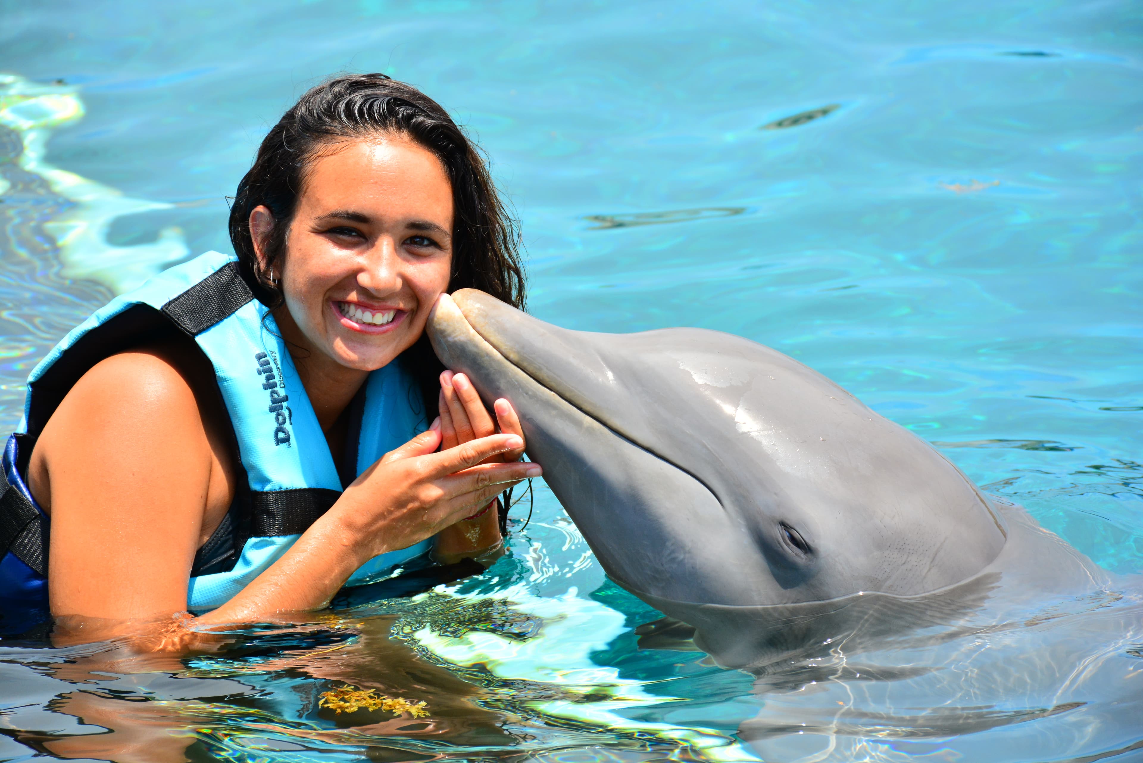Dolphin Royal Connection: delfines, manatíes y Chankanaab