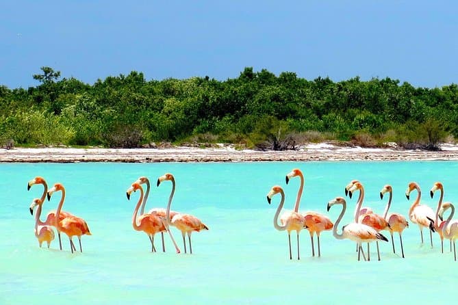 Holbox
