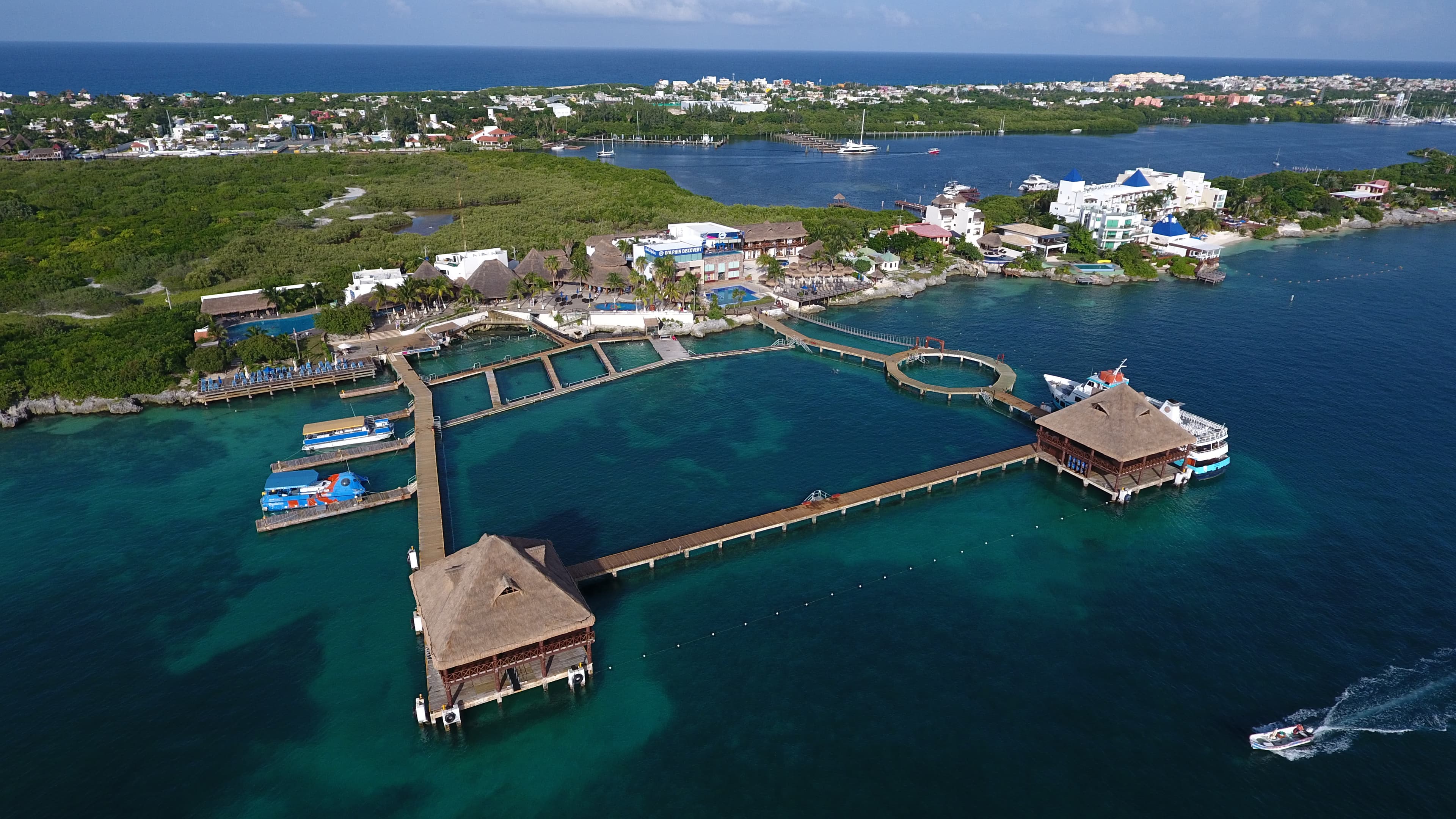 Isla Mujeres: Dolphin Royal Connection — 2