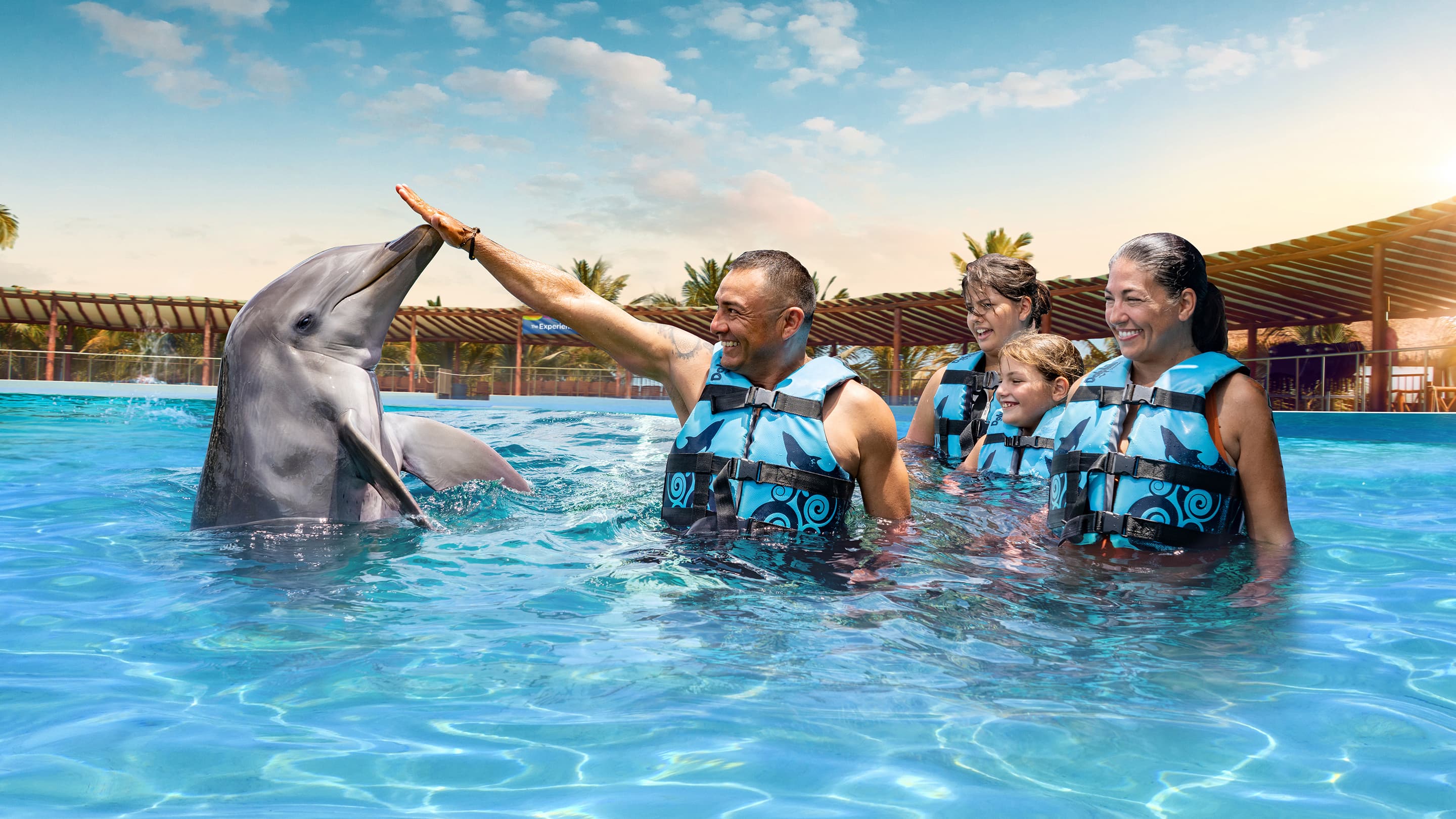 Playa del Carmen Maroma - Dolphin Royal Connection: nada con delfines