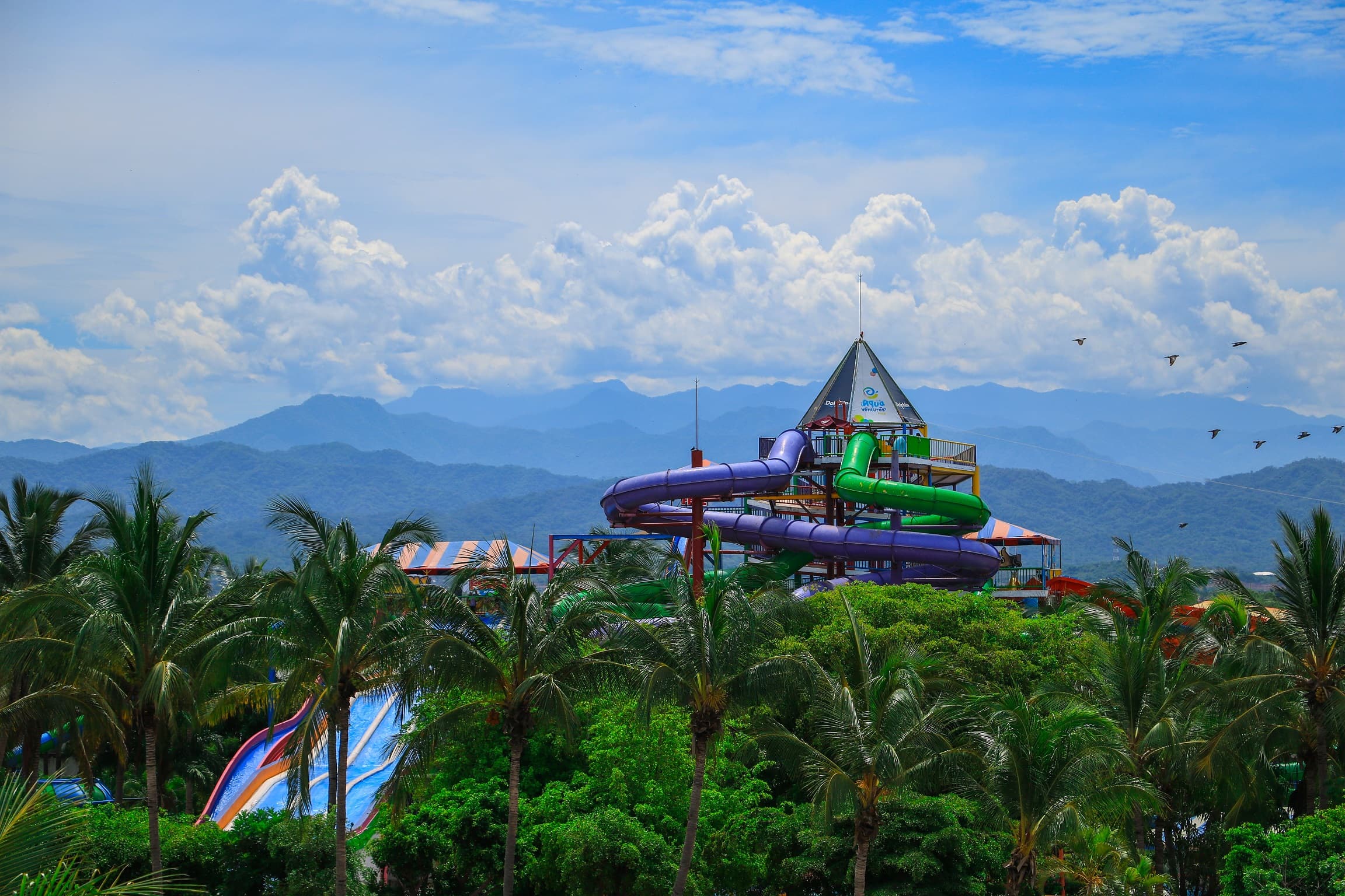 Encuentro con Delfines + Parque Acuático en Puerto Vallarta — 4