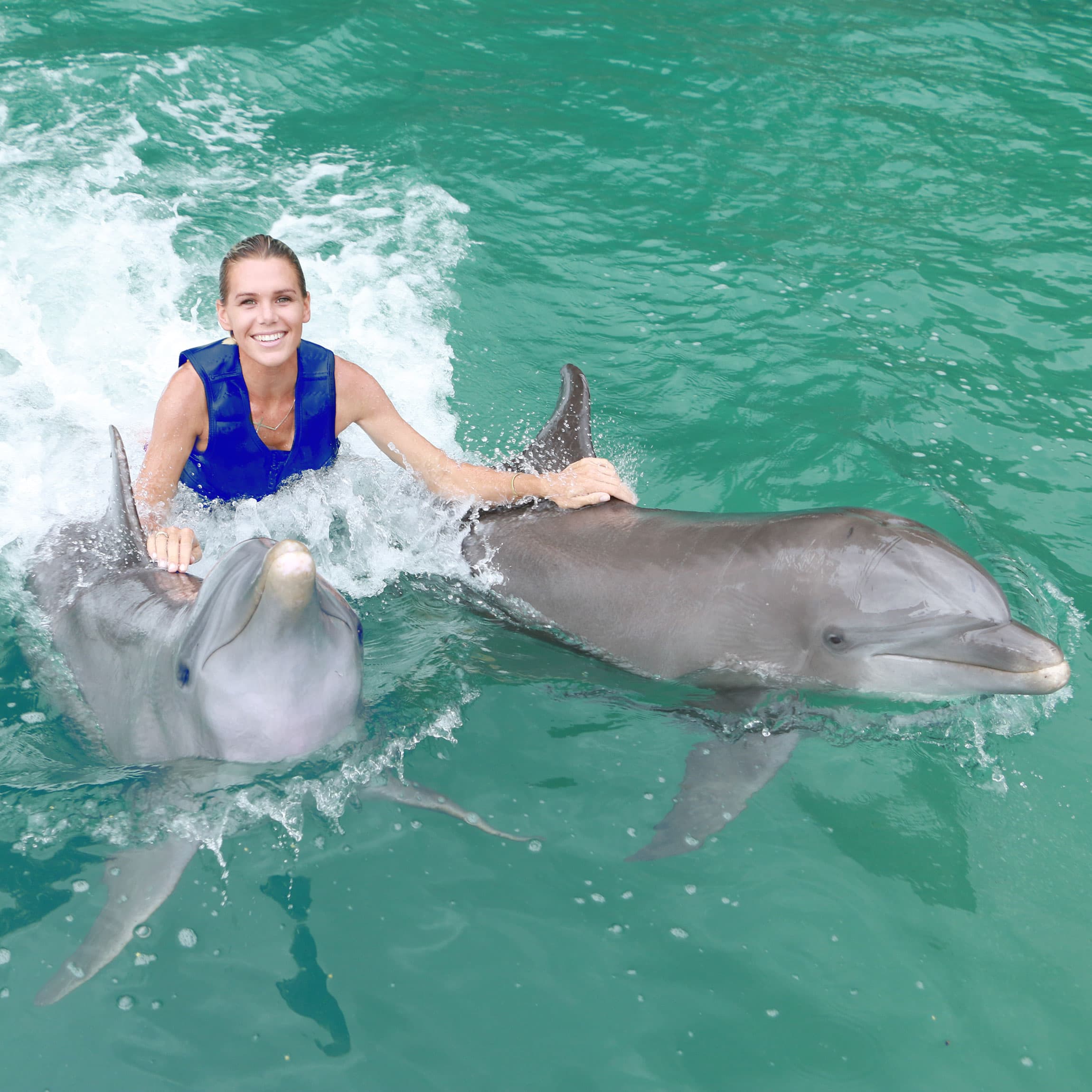 Dolphin Royal Connection Puerto Aventuras