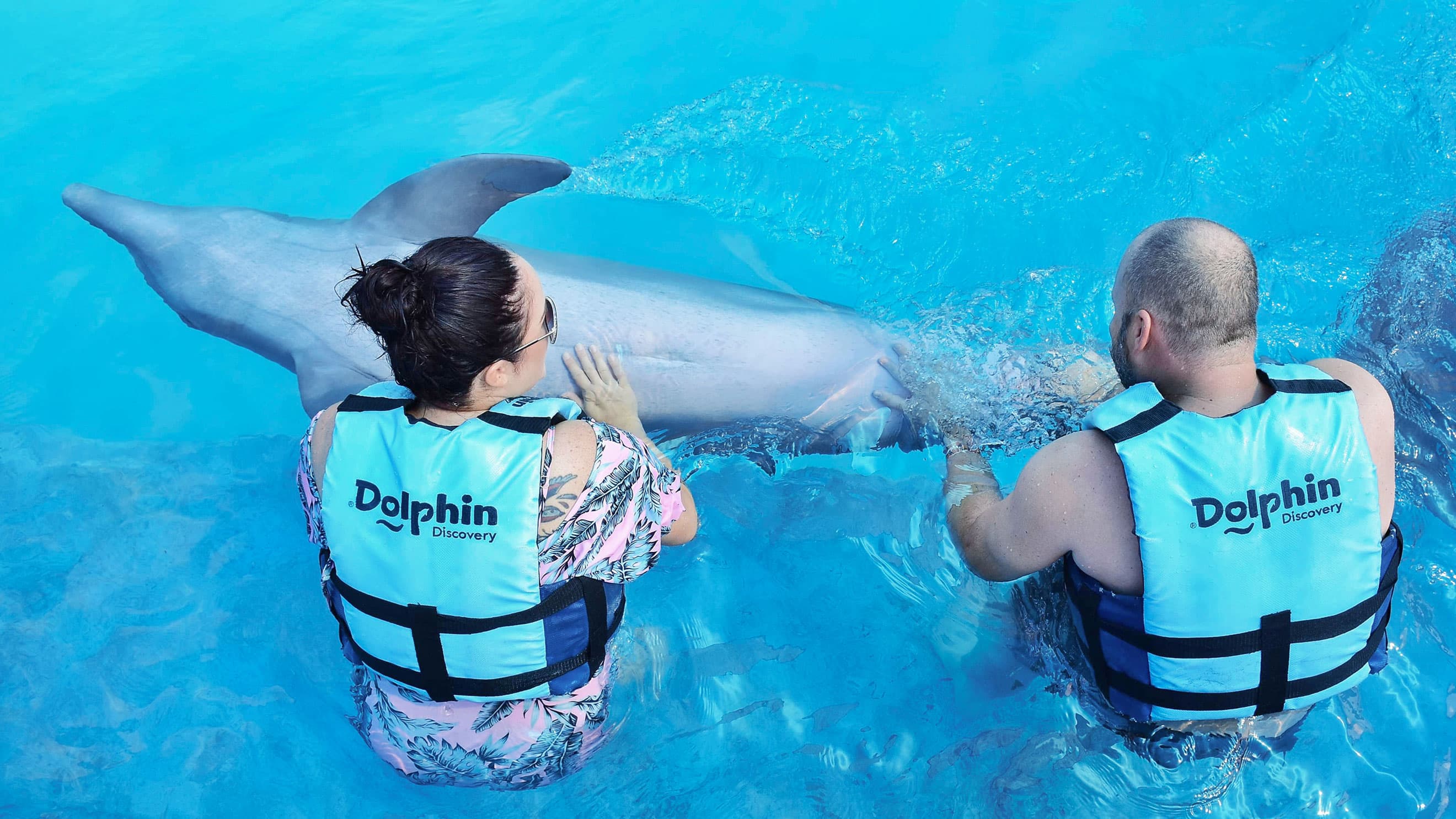 Dolphin Royal Connection: delfines, manatíes y Chankanaab