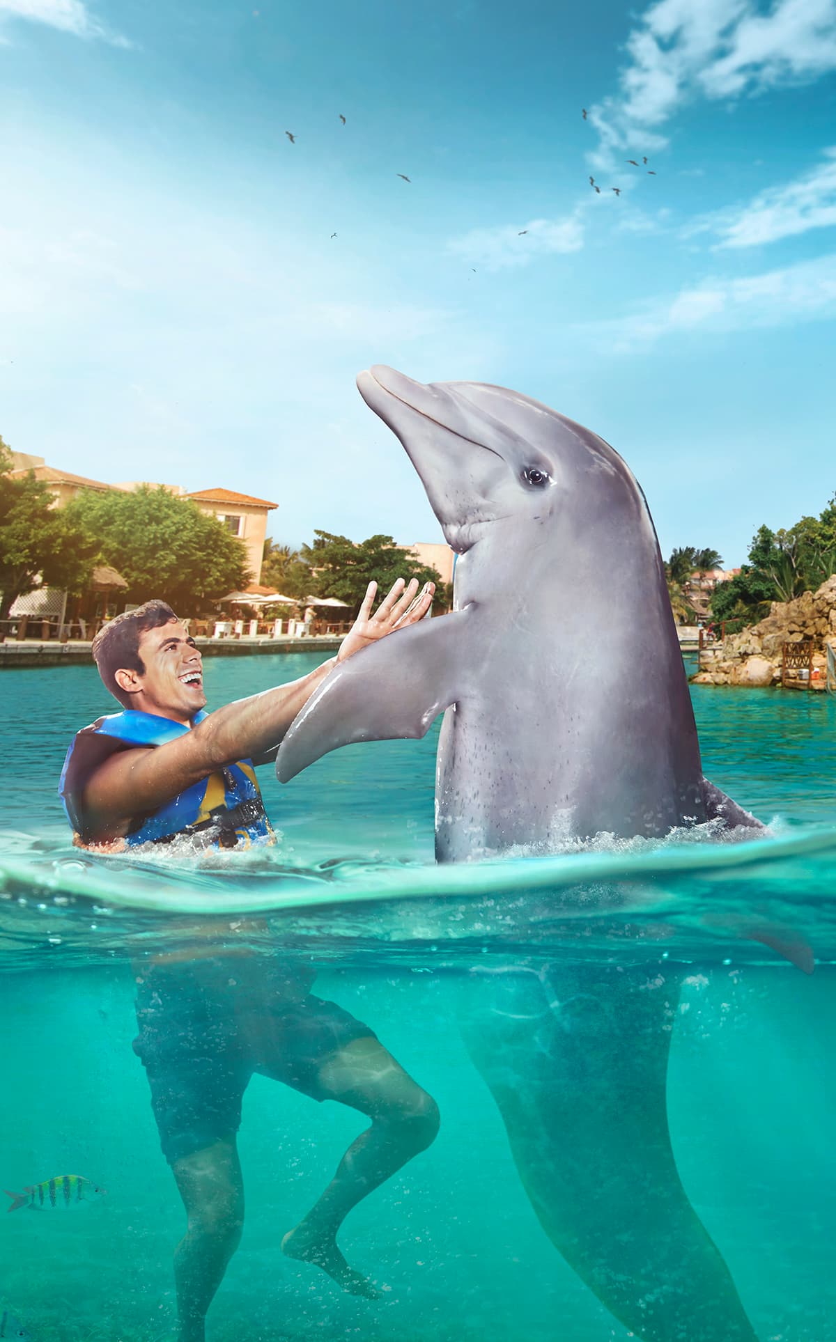 Dolphin Connection: nado con delfines en Puerto Aventuras