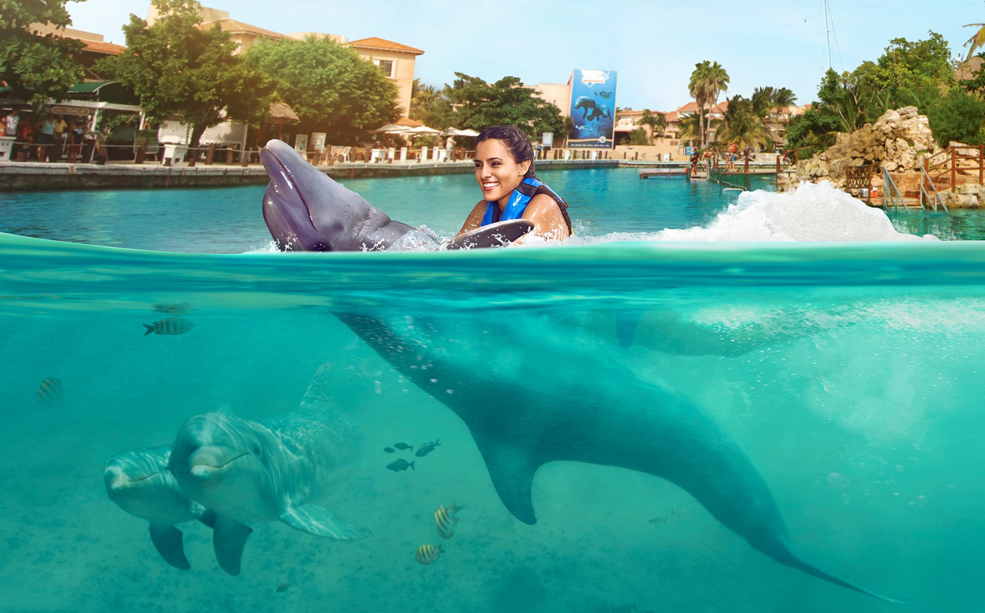 Dolphin Connection: nado con delfines en Puerto Aventuras