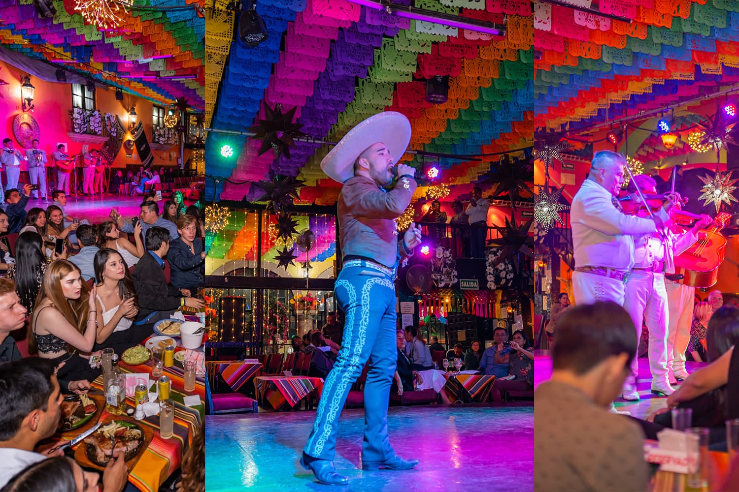 Tour nocturno: mariachis, show en Garibaldi y tacos