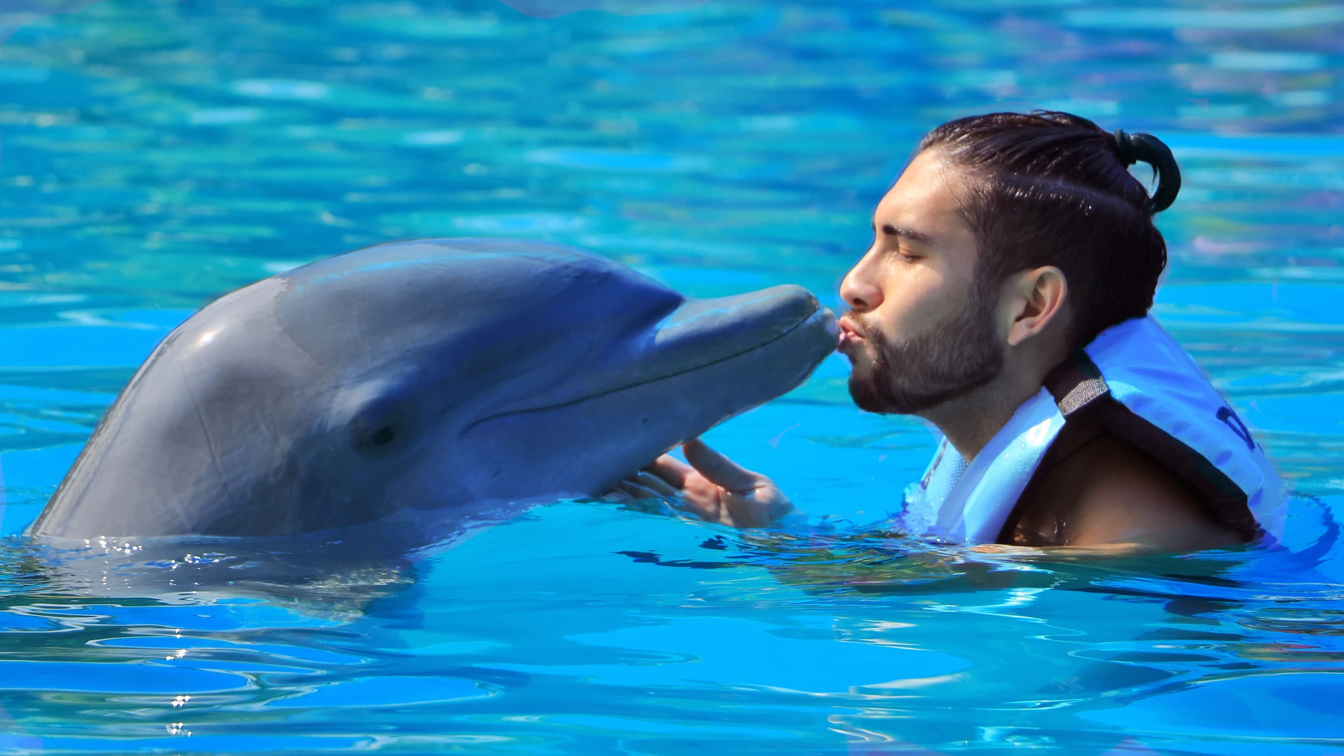 Dolphin Emotions + Parque Acuático: delfines y aventura en Vallarta
